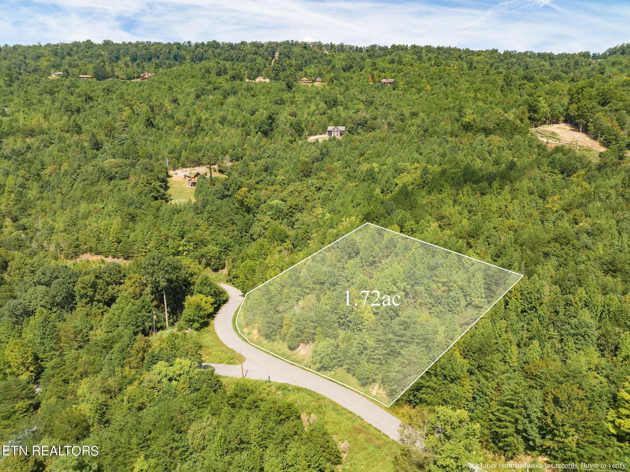 Norris Lake Real Estate - Image# 9