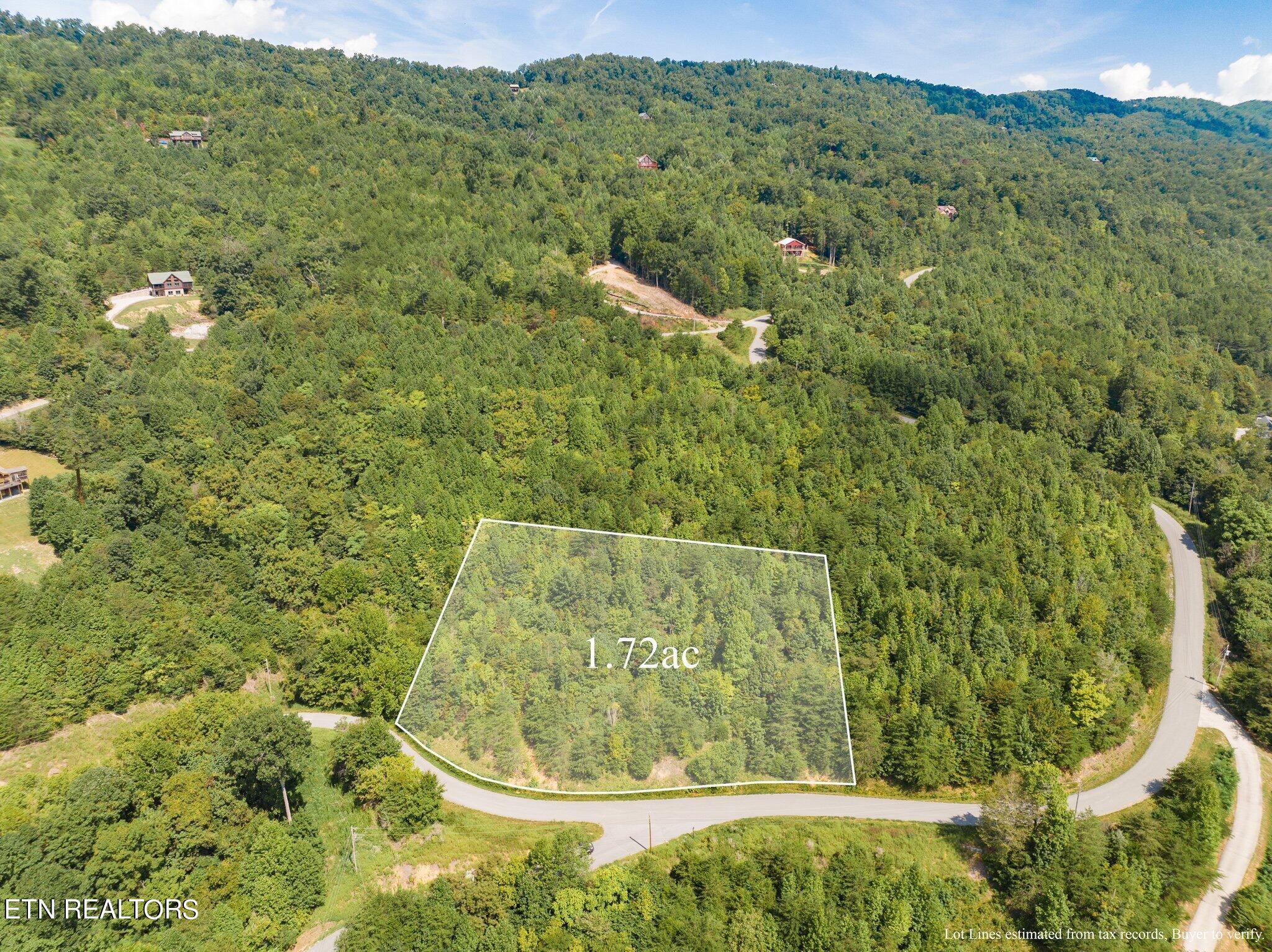 Norris Lake Real Estate - Image# 10