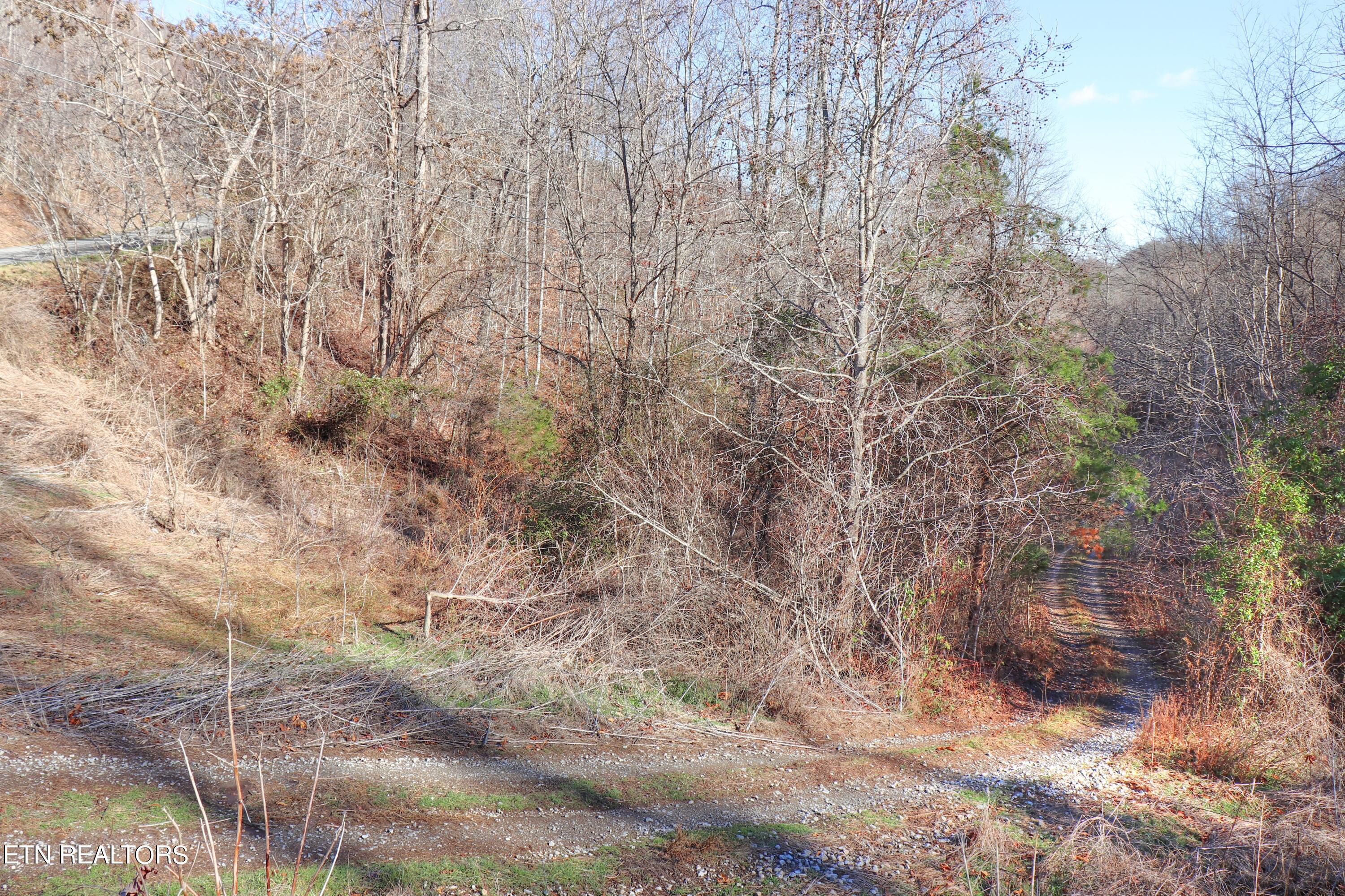 Norris Lake Real Estate - Image# 14