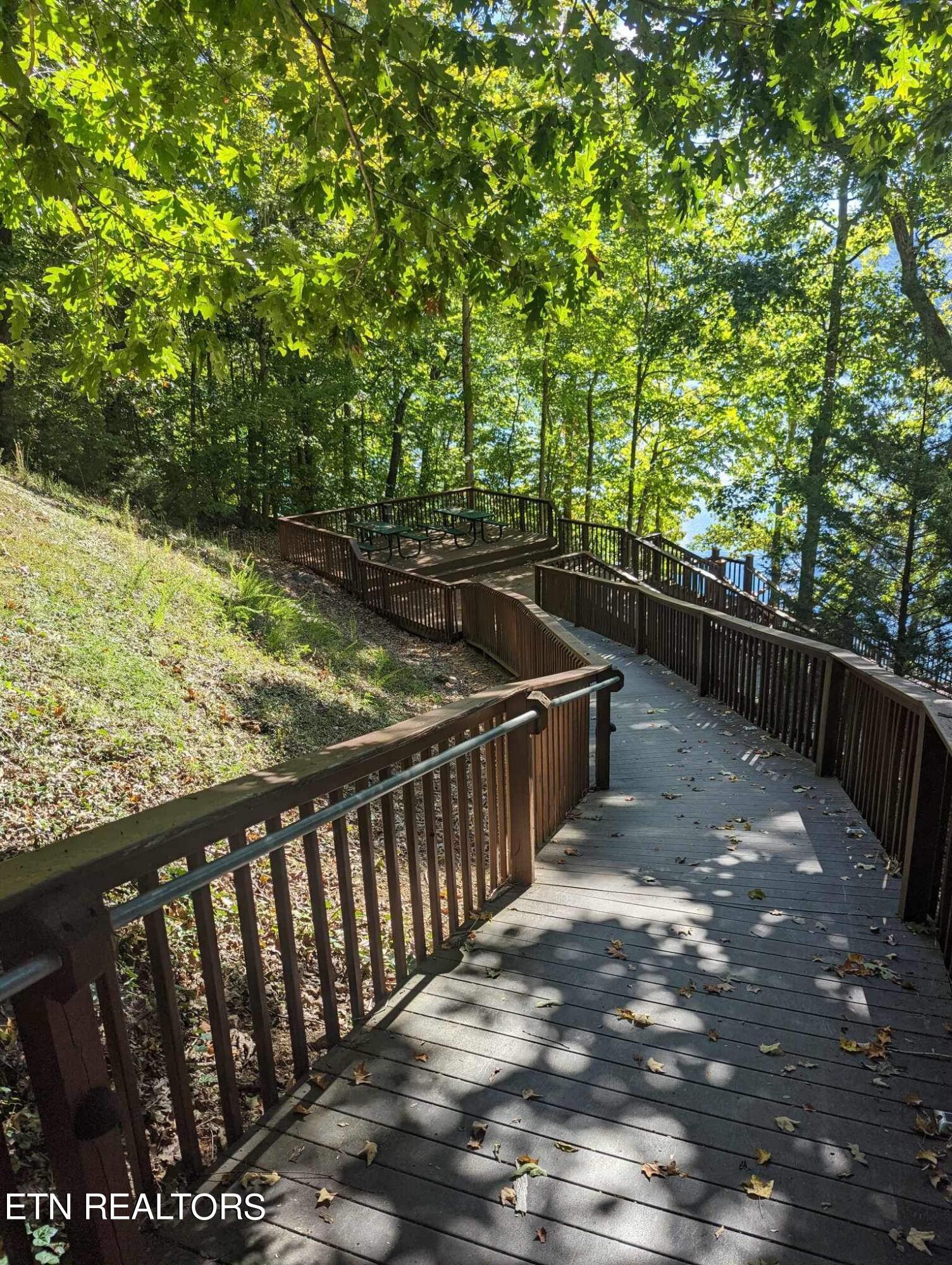 Norris Lake Real Estate - Image# 18