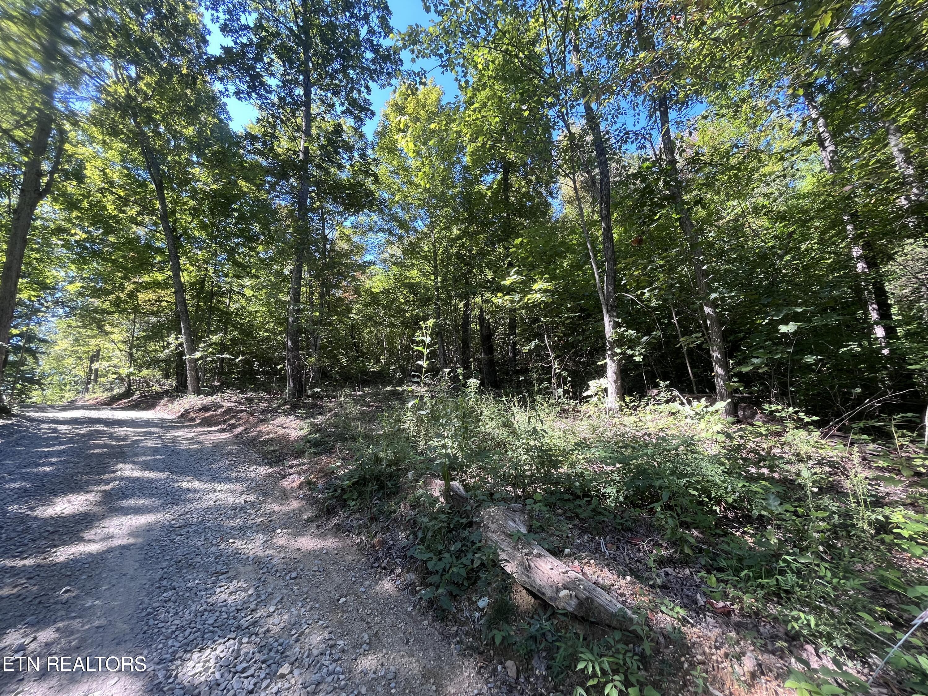 Norris Lake Real Estate - Image# 2