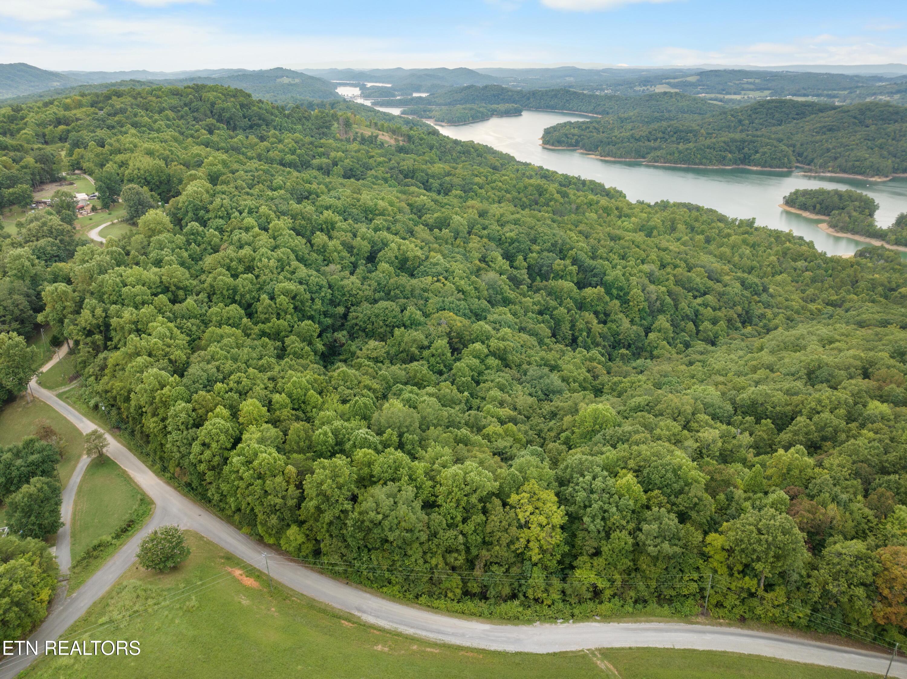 Norris Lake Real Estate - Image# 40