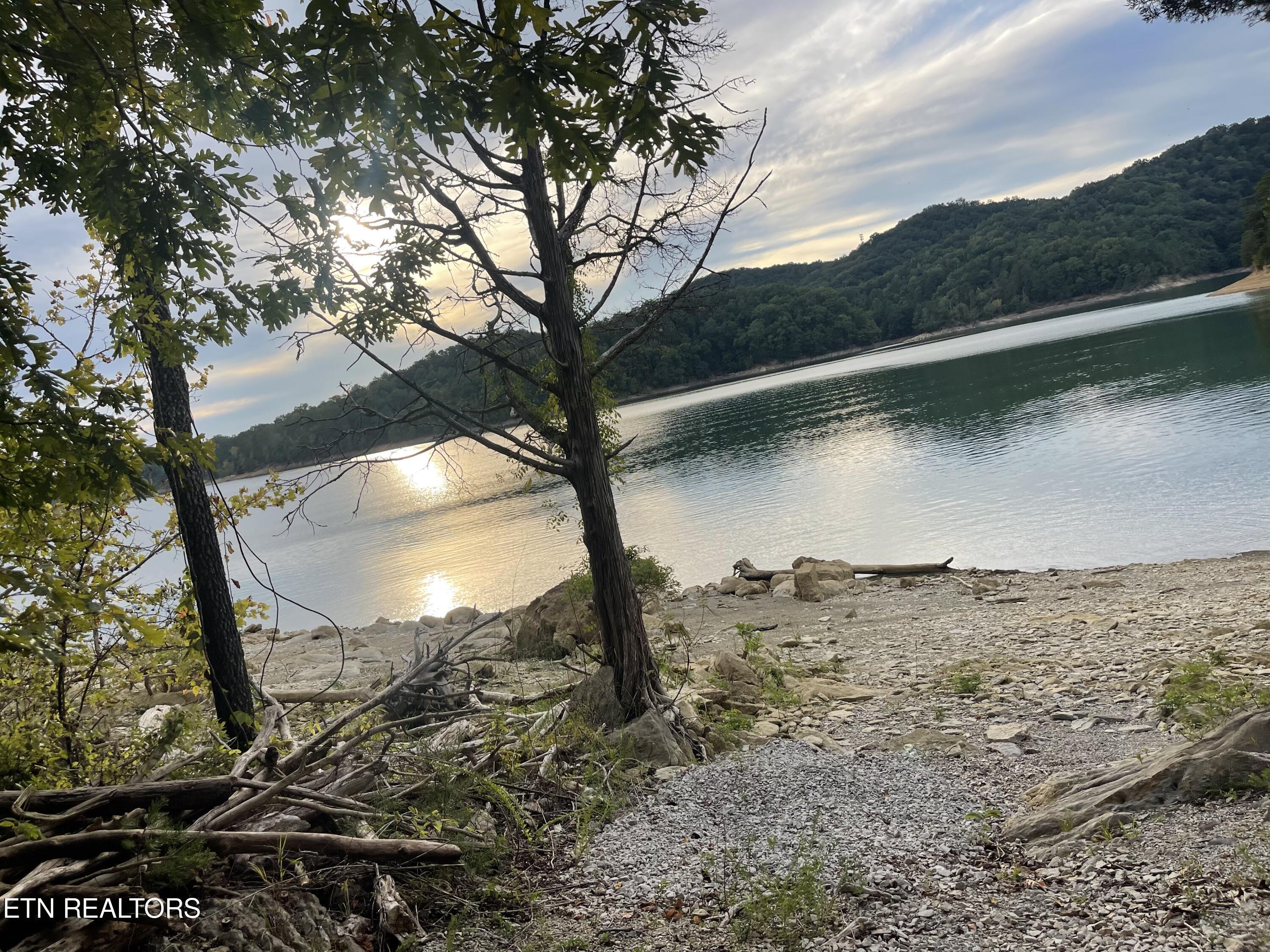 Norris Lake Real Estate - Image# 50