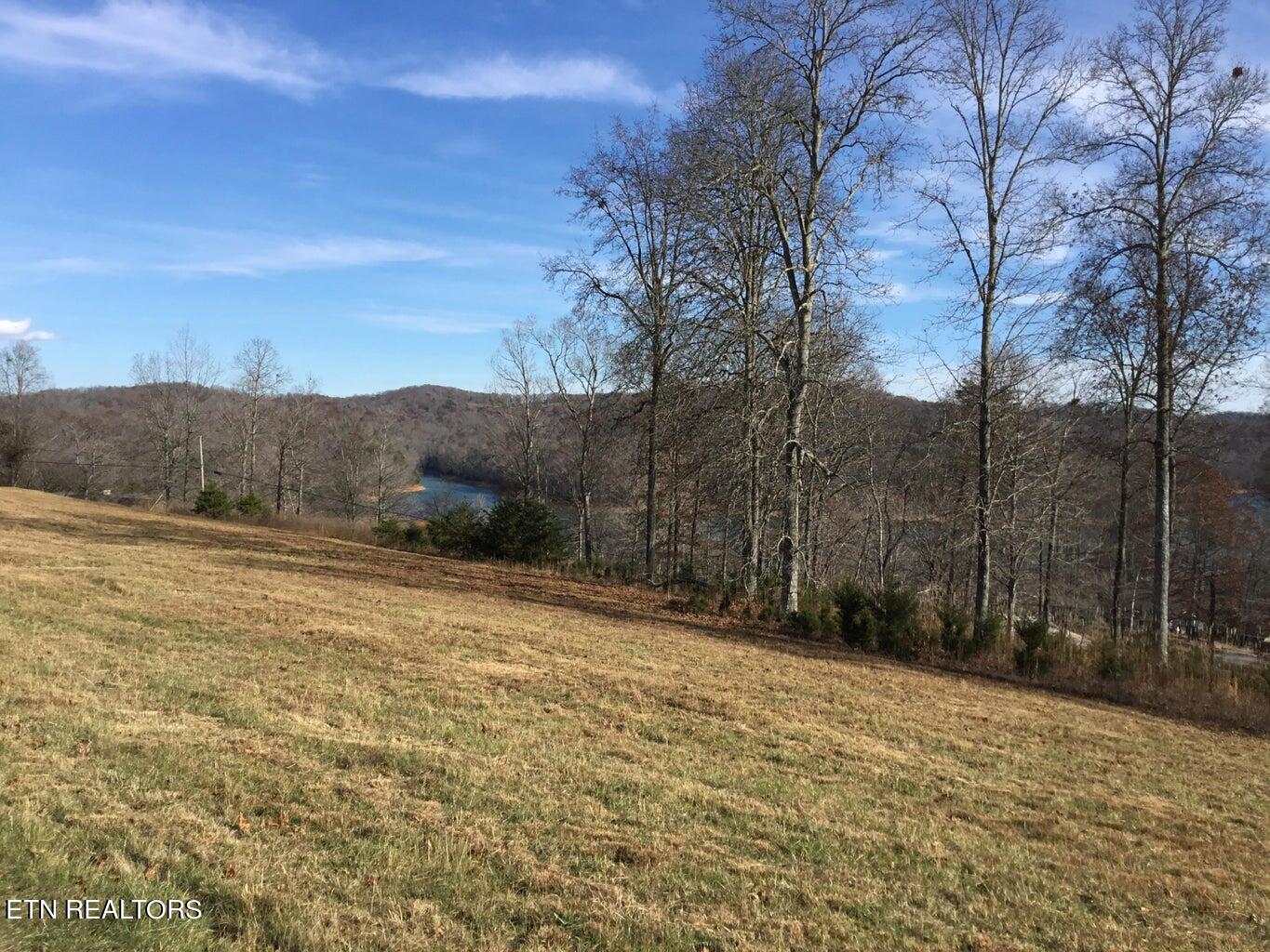 Norris Lake Real Estate - Image# 1