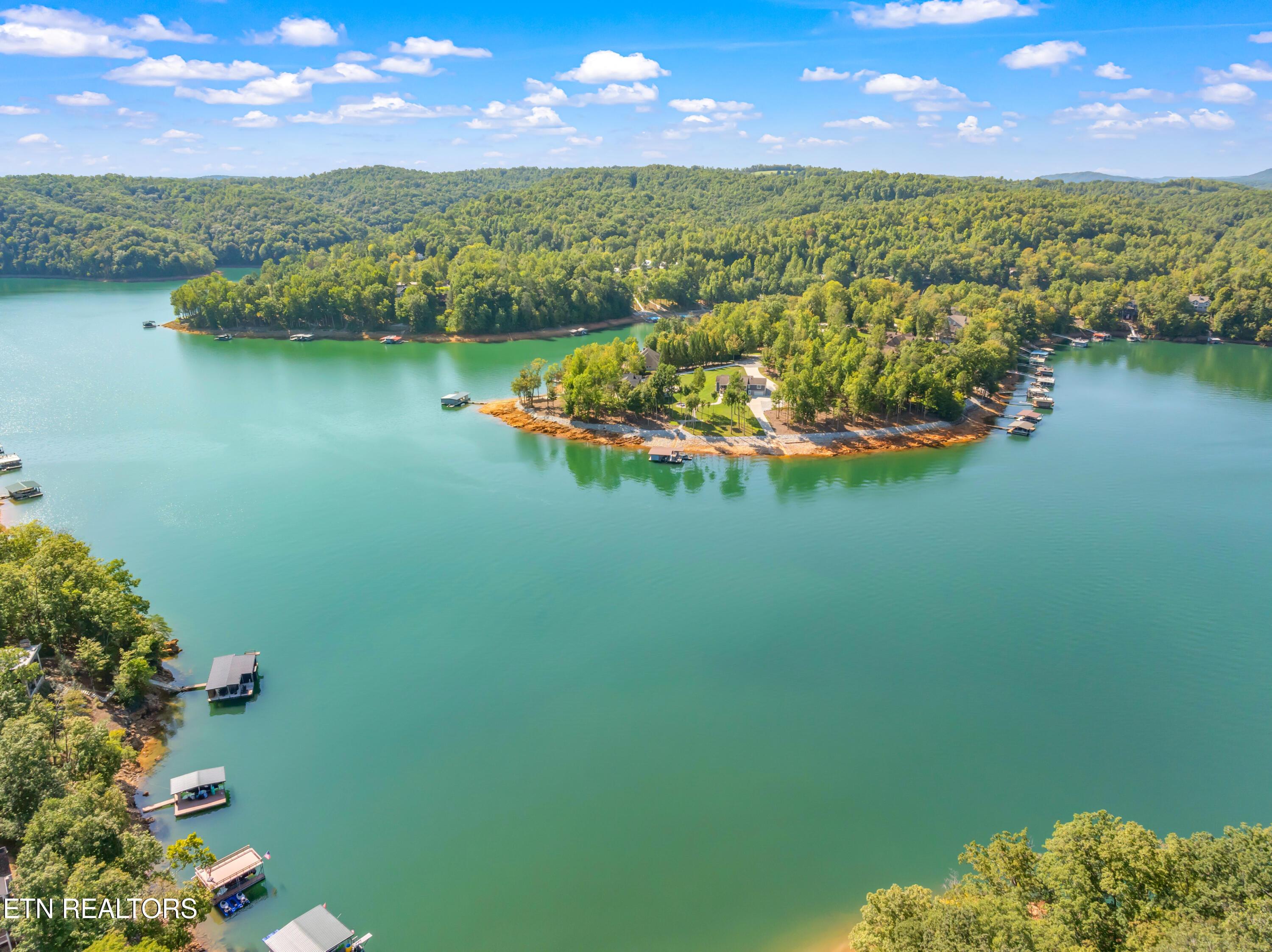 Norris Lake Real Estate - Image# 11