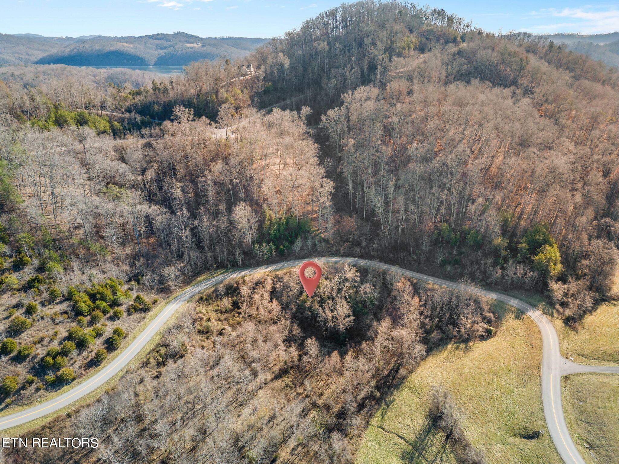 Norris Lake Real Estate - Image# 5