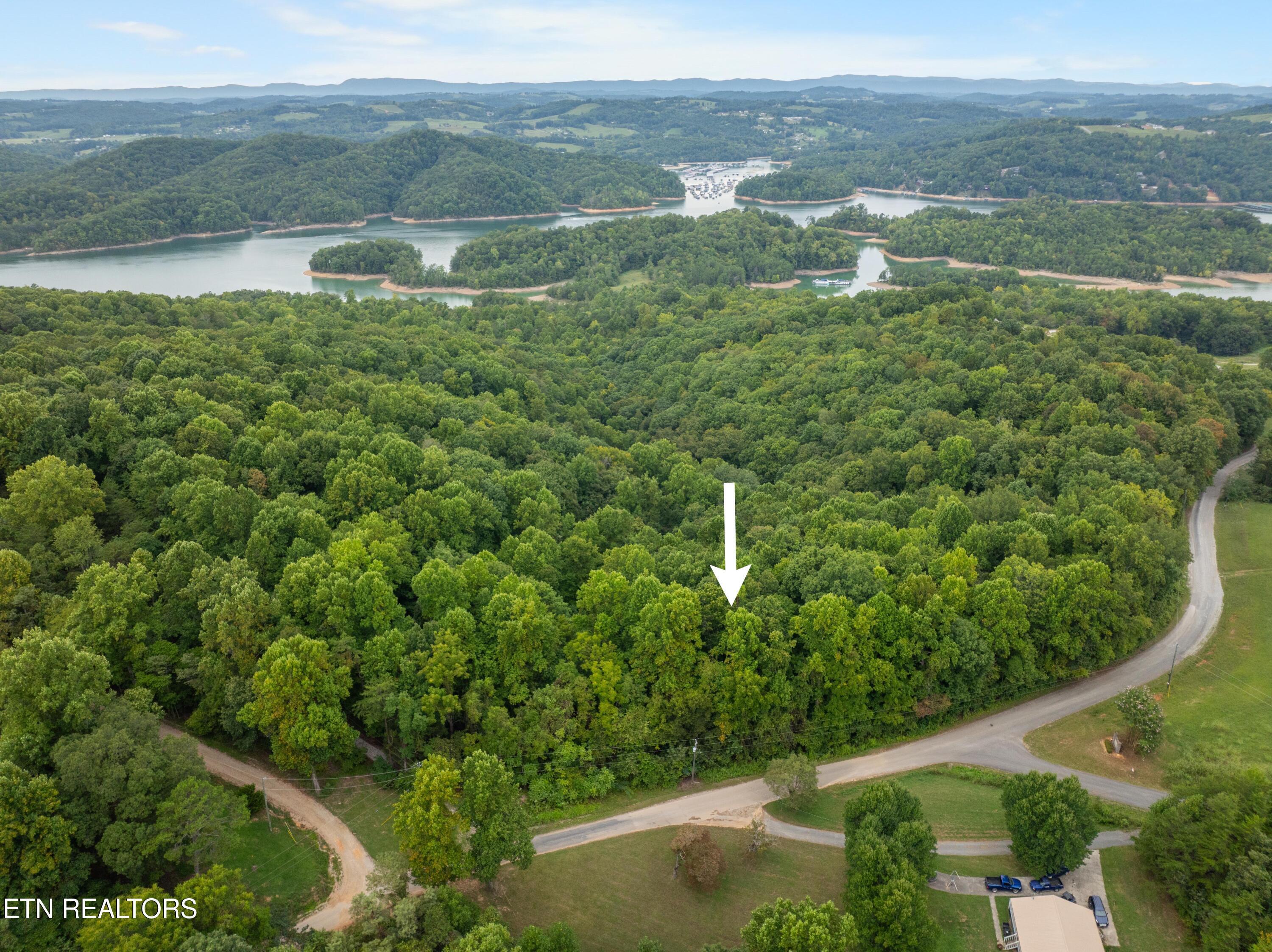 Norris Lake Real Estate - Image# 2