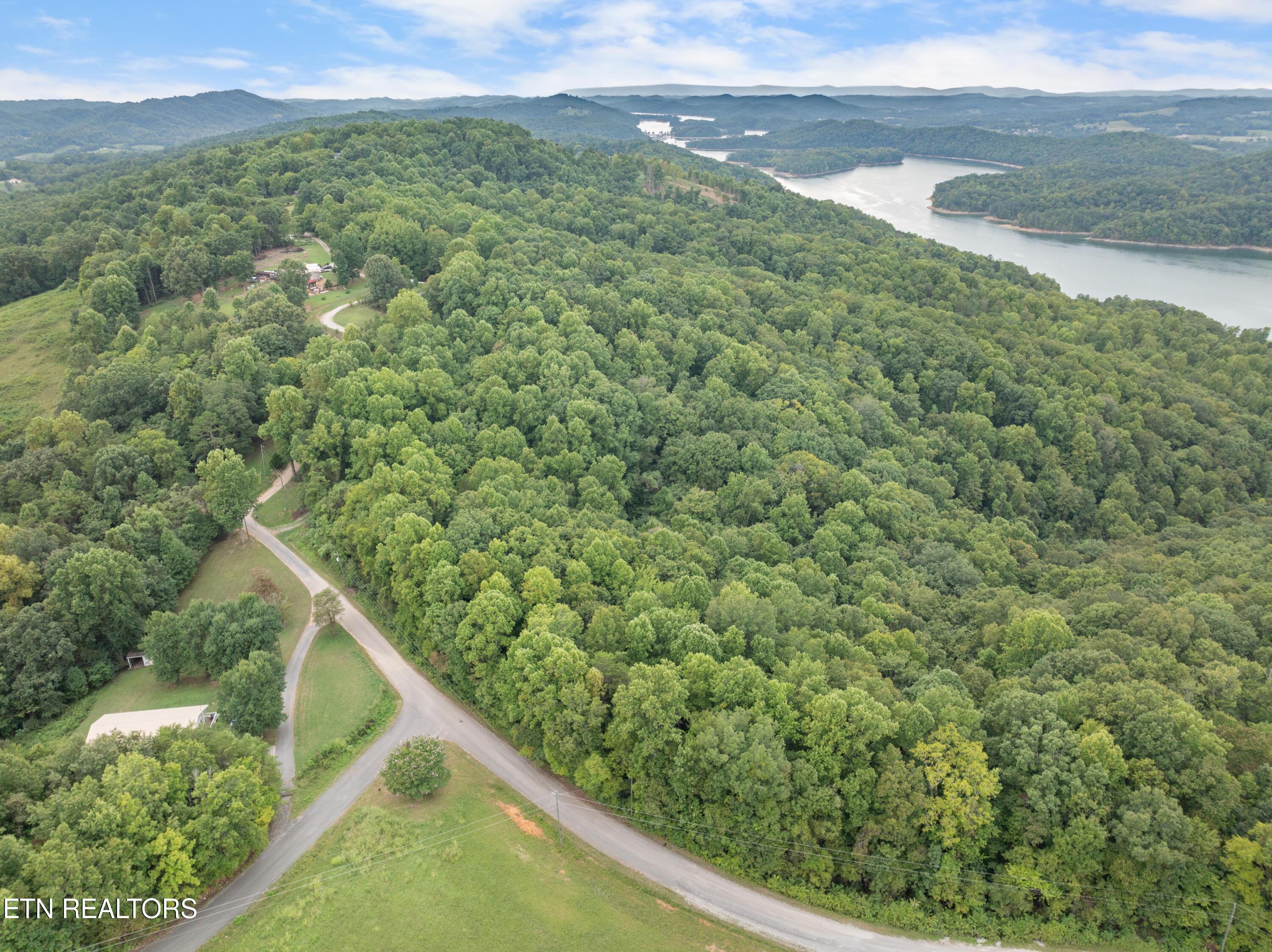 Norris Lake Real Estate - Image# 4