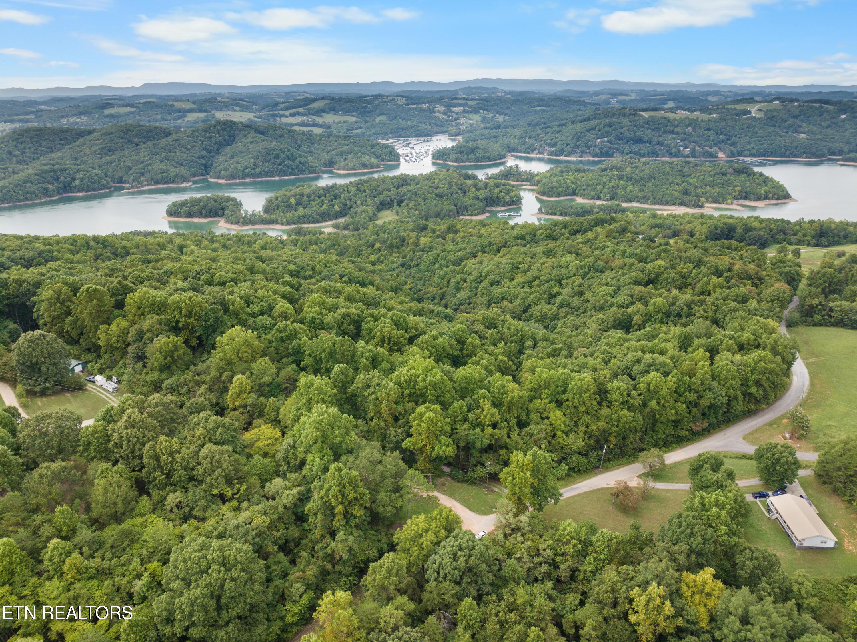 Norris Lake Real Estate - Image# 7