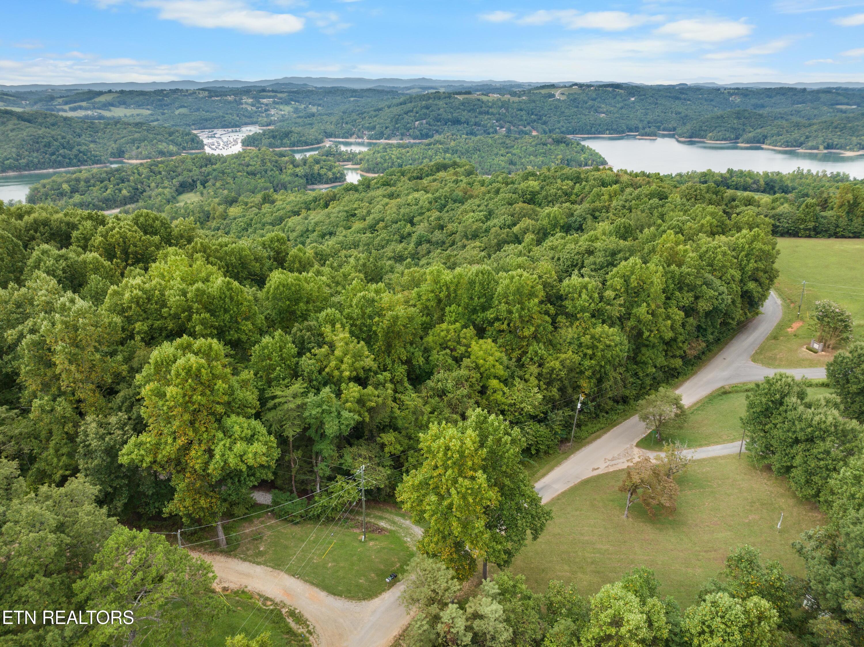 Norris Lake Real Estate - Image# 8