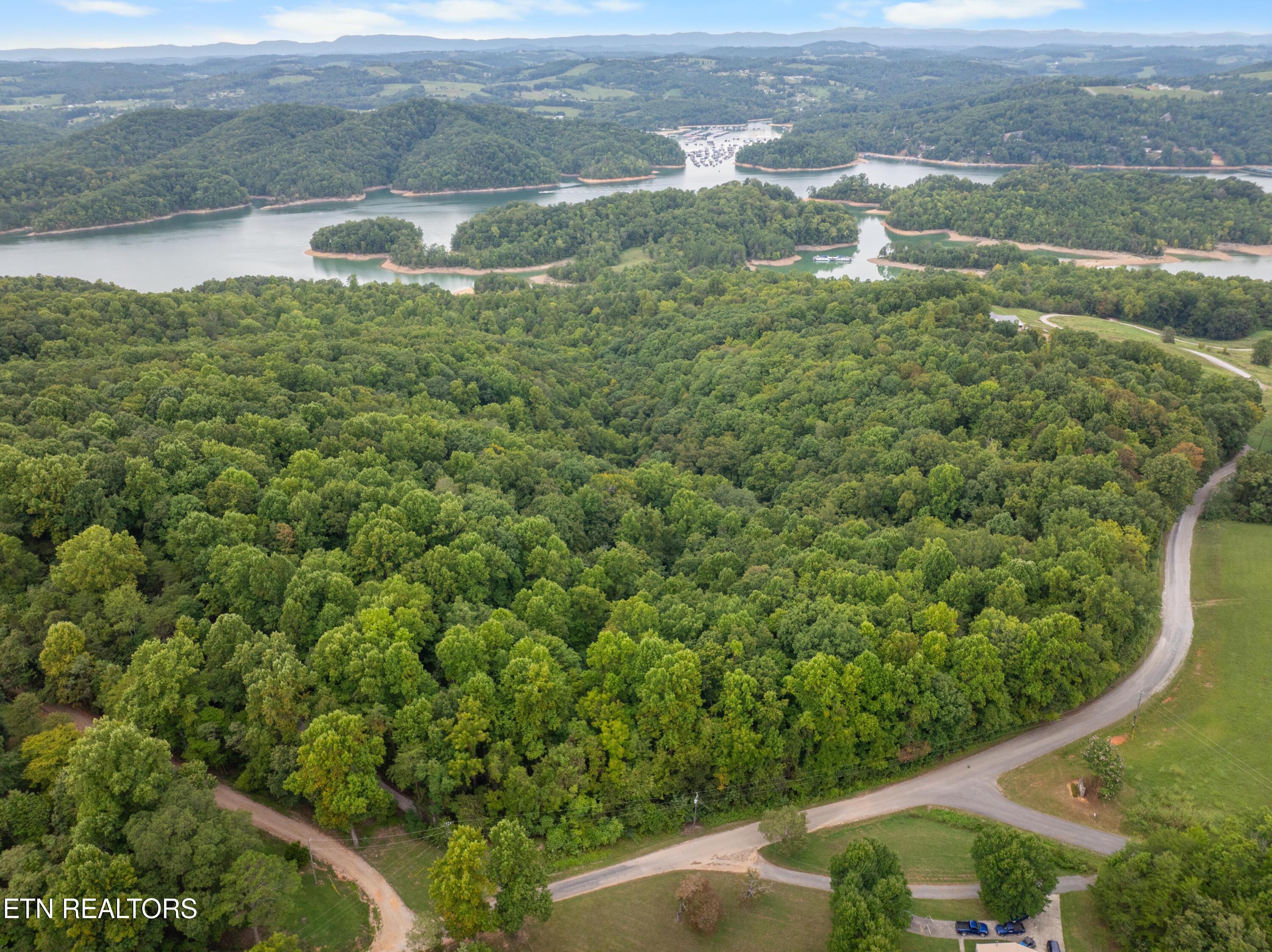 Norris Lake Real Estate - Image# 9