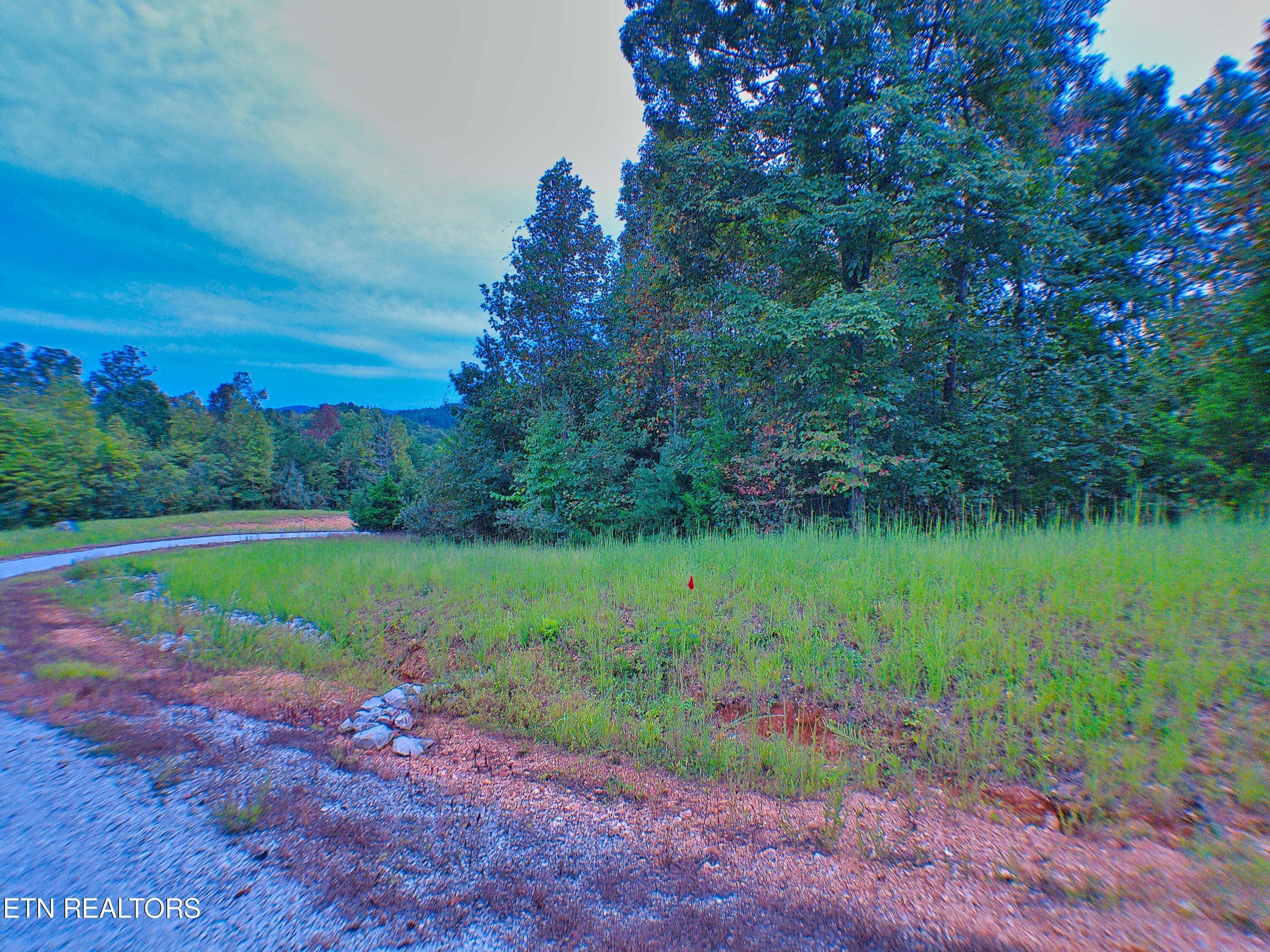 Norris Lake Real Estate - Image# 4