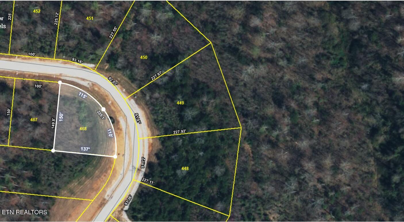 Norris Lake Real Estate - Image# 12