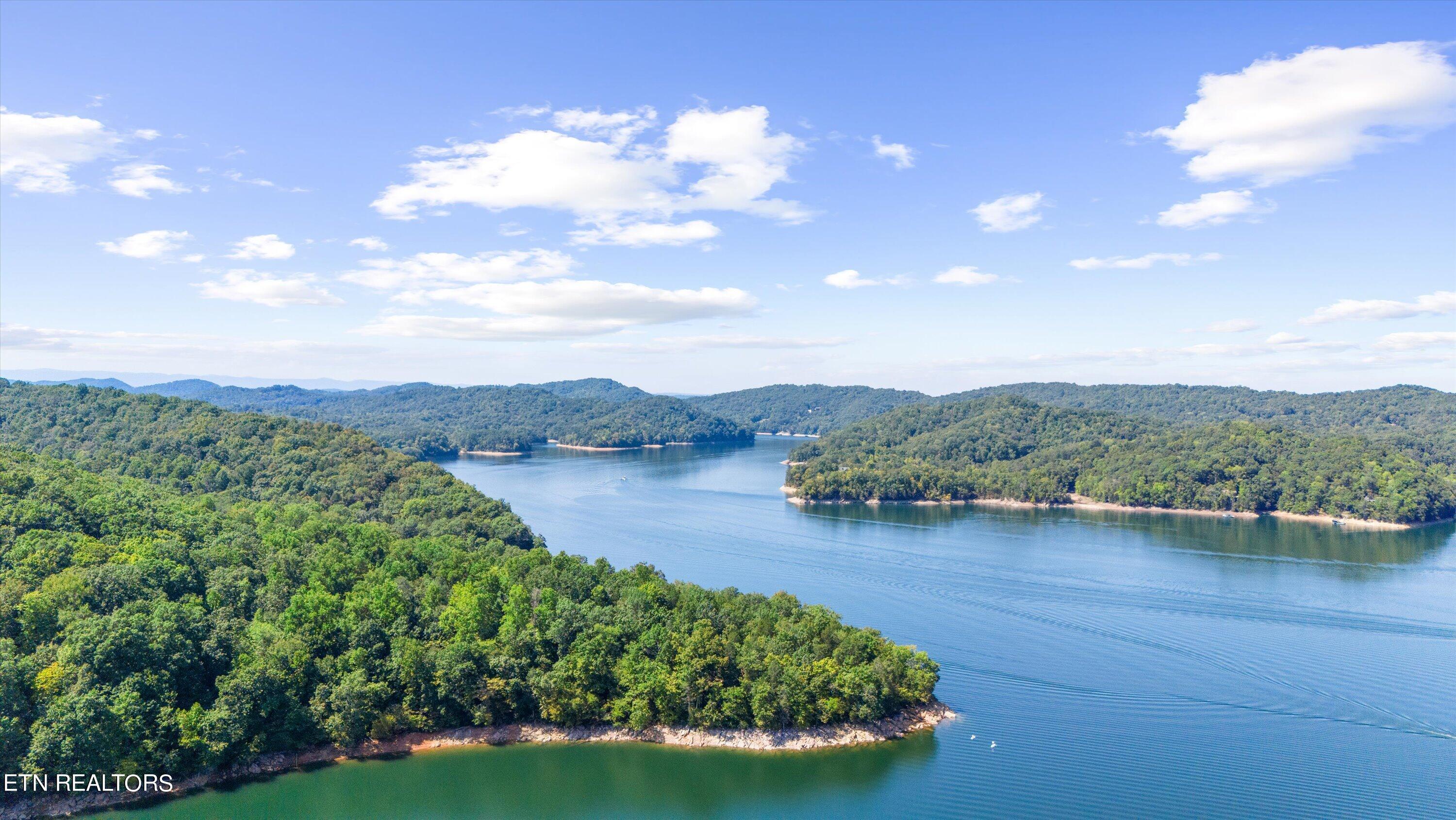 Norris Lake Real Estate - Image# 93