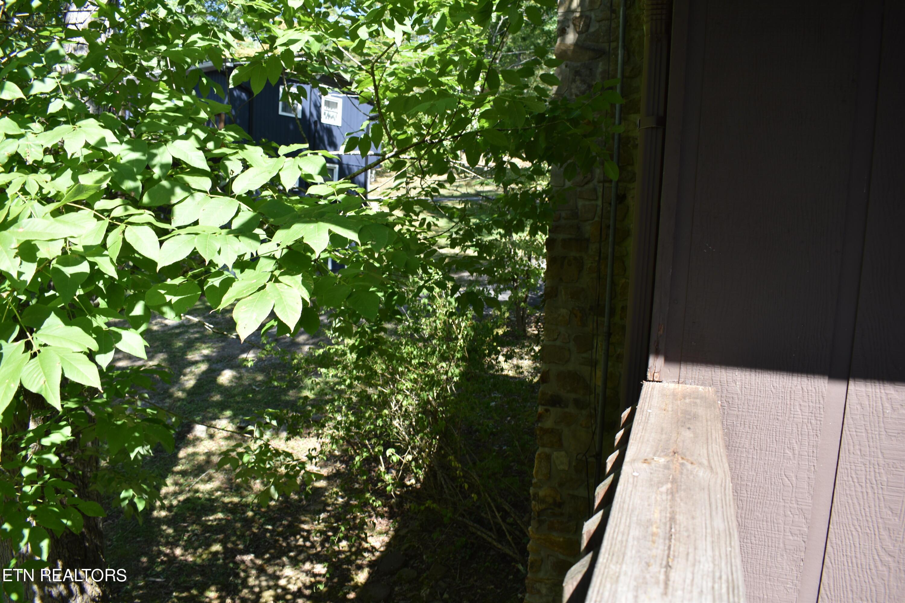 Norris Lake Real Estate - Image# 8