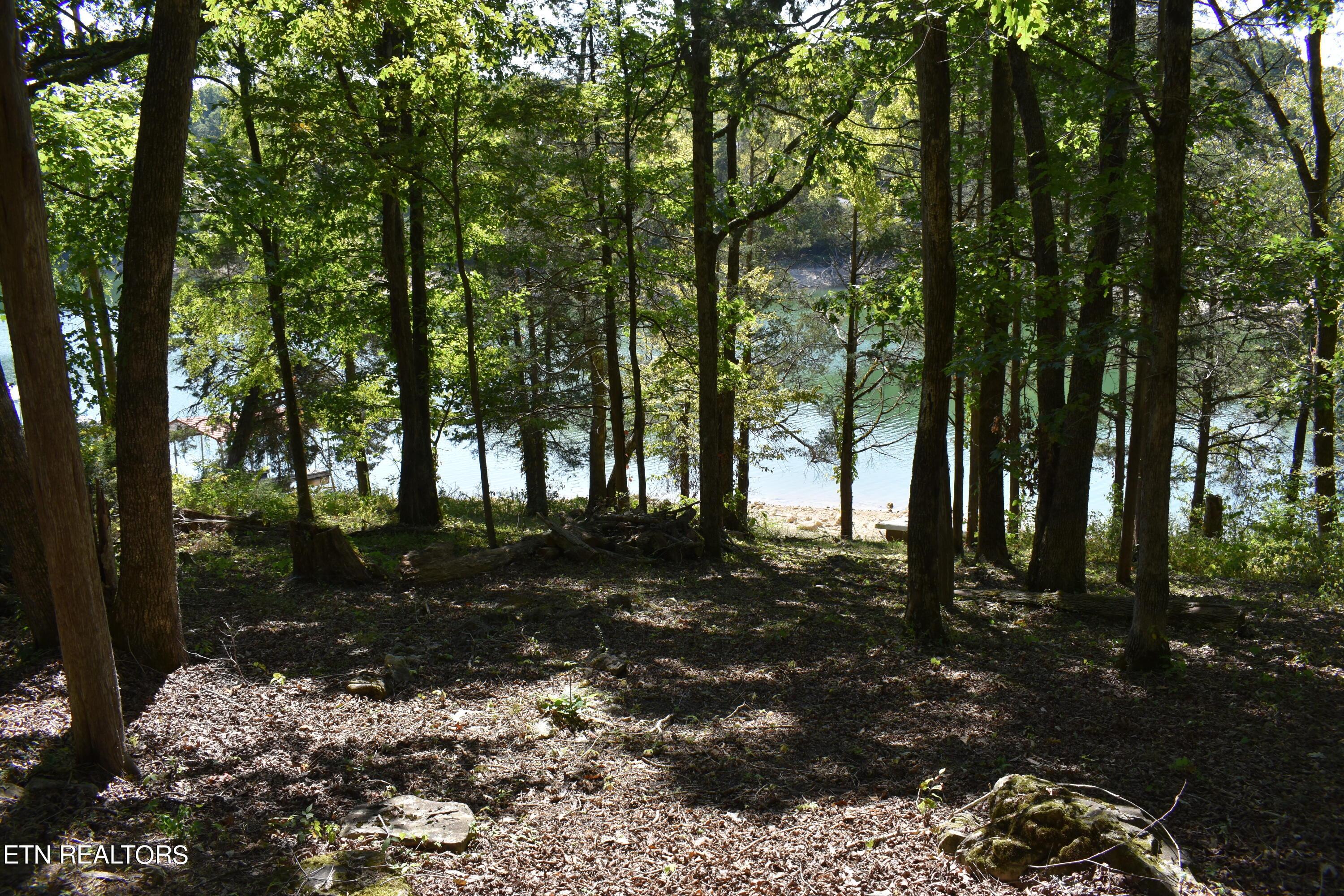 Norris Lake Real Estate - Image# 19