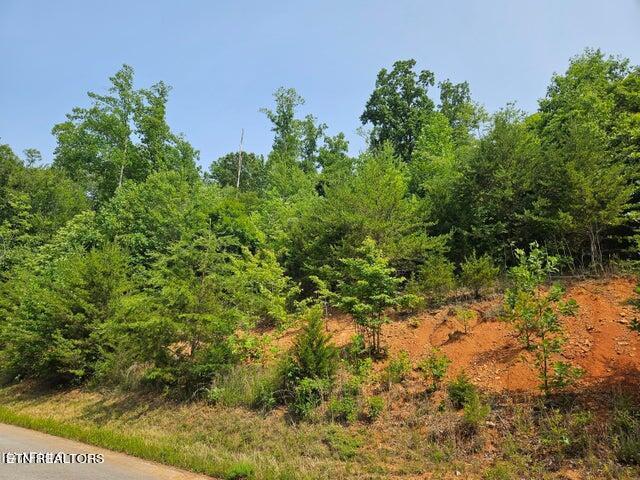 Norris Lake Real Estate - Image# 8