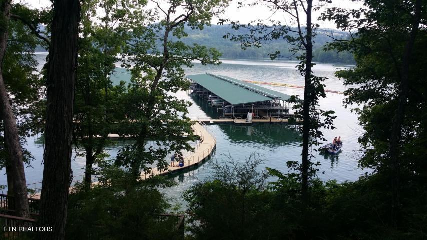 Norris Lake Real Estate - Image# 2