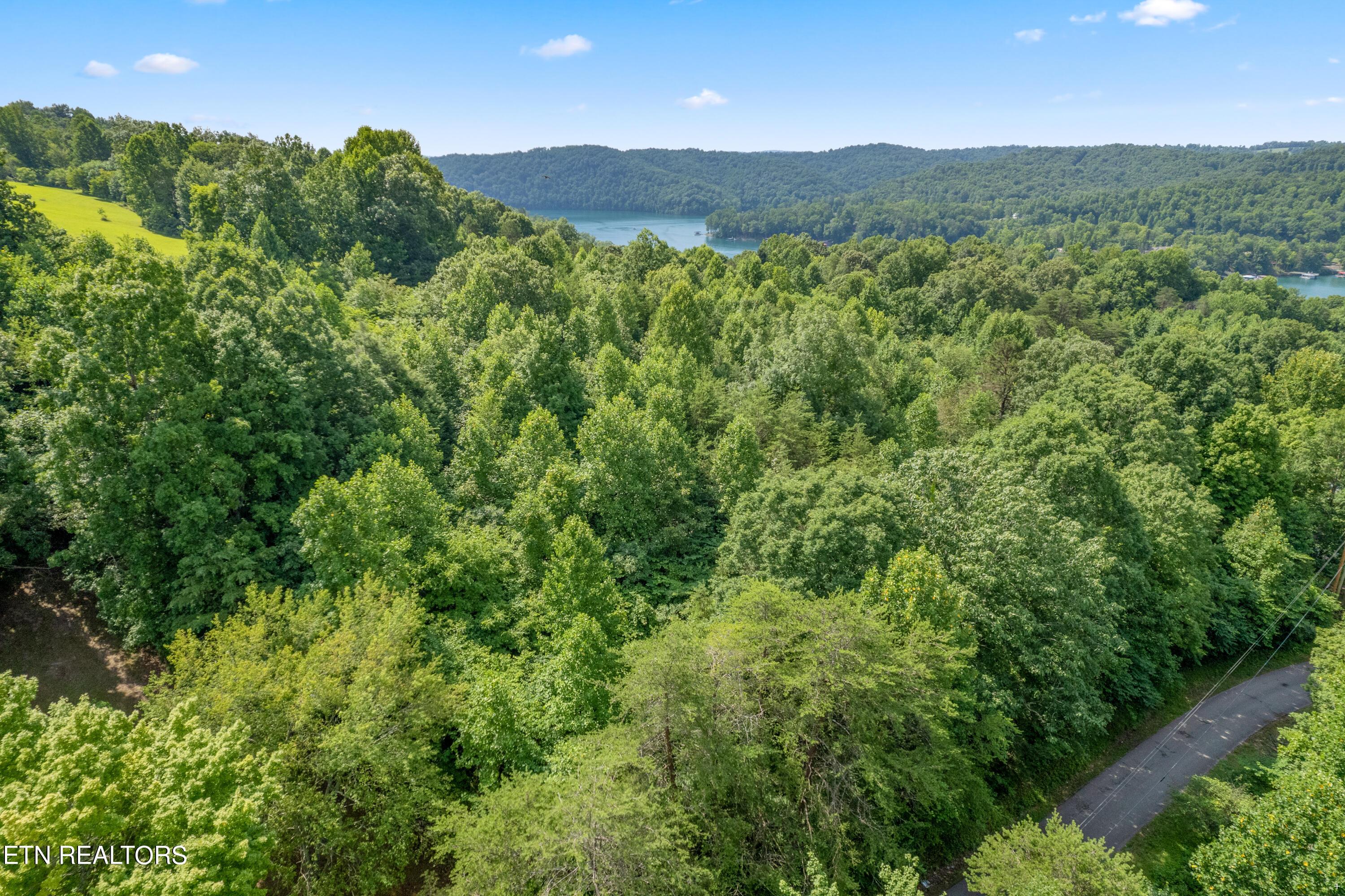 Norris Lake Real Estate - Image# 5