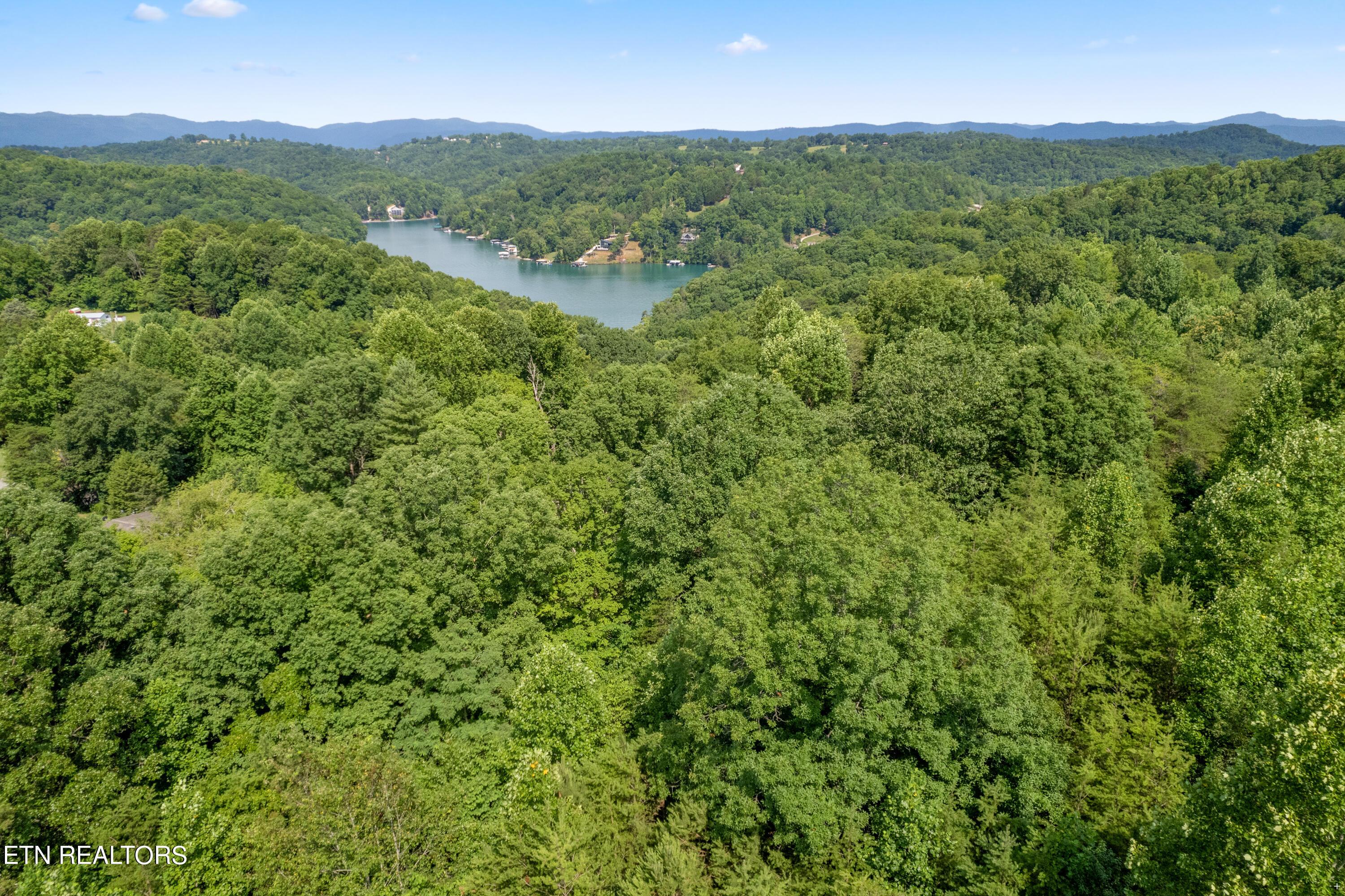 Norris Lake Real Estate - Image# 6