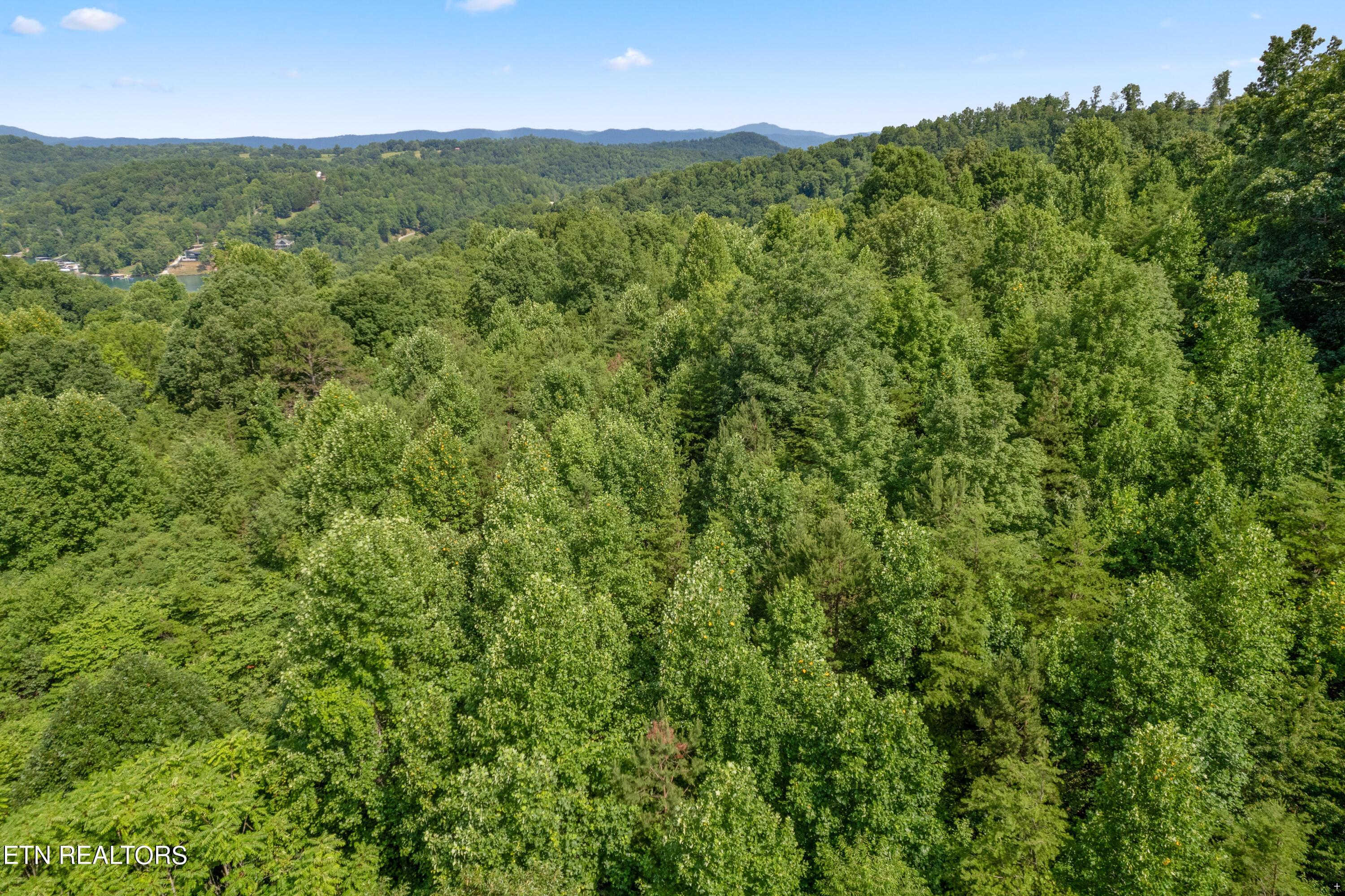 Norris Lake Real Estate - Image# 7