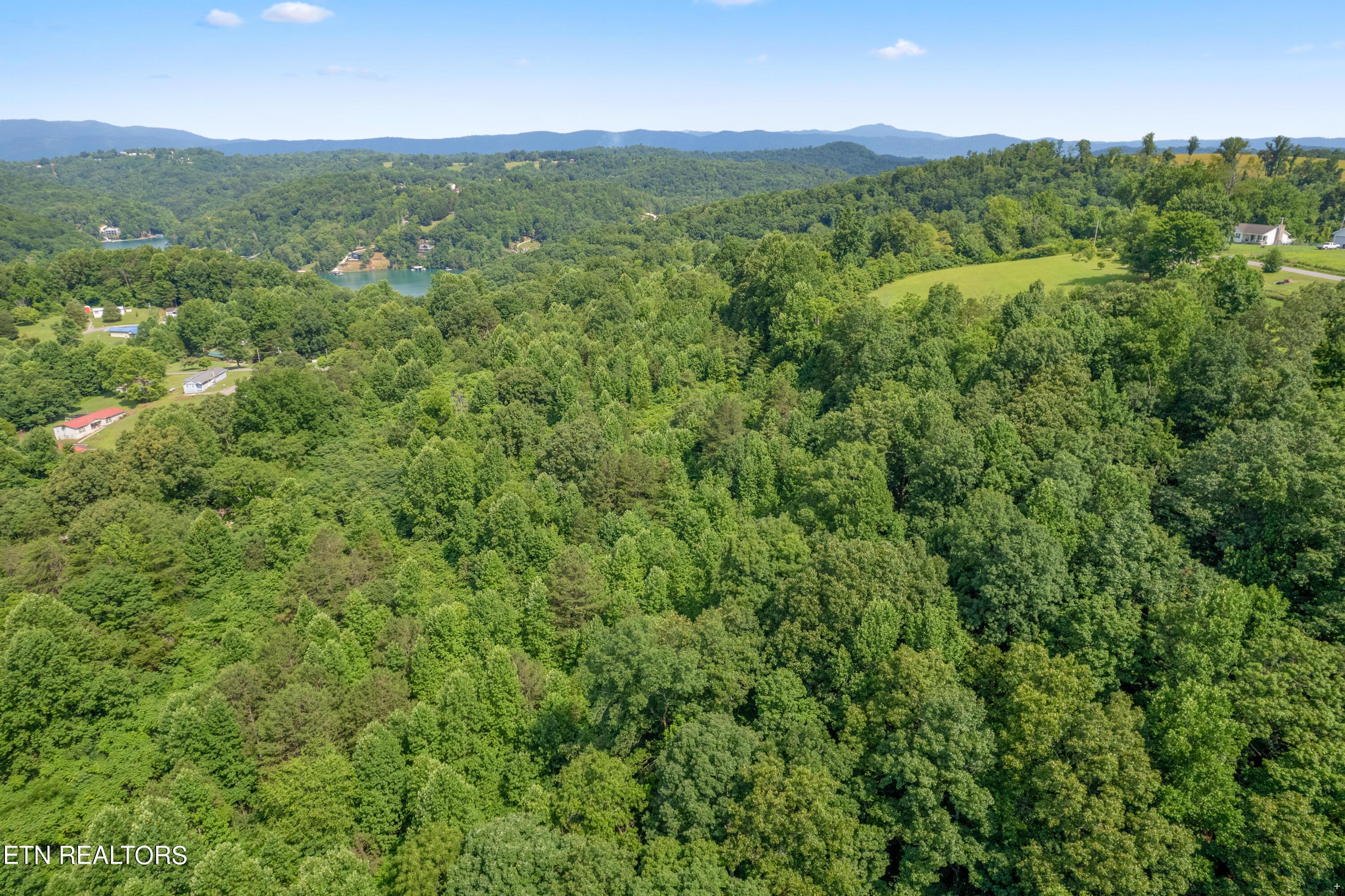 Norris Lake Real Estate - Image# 8