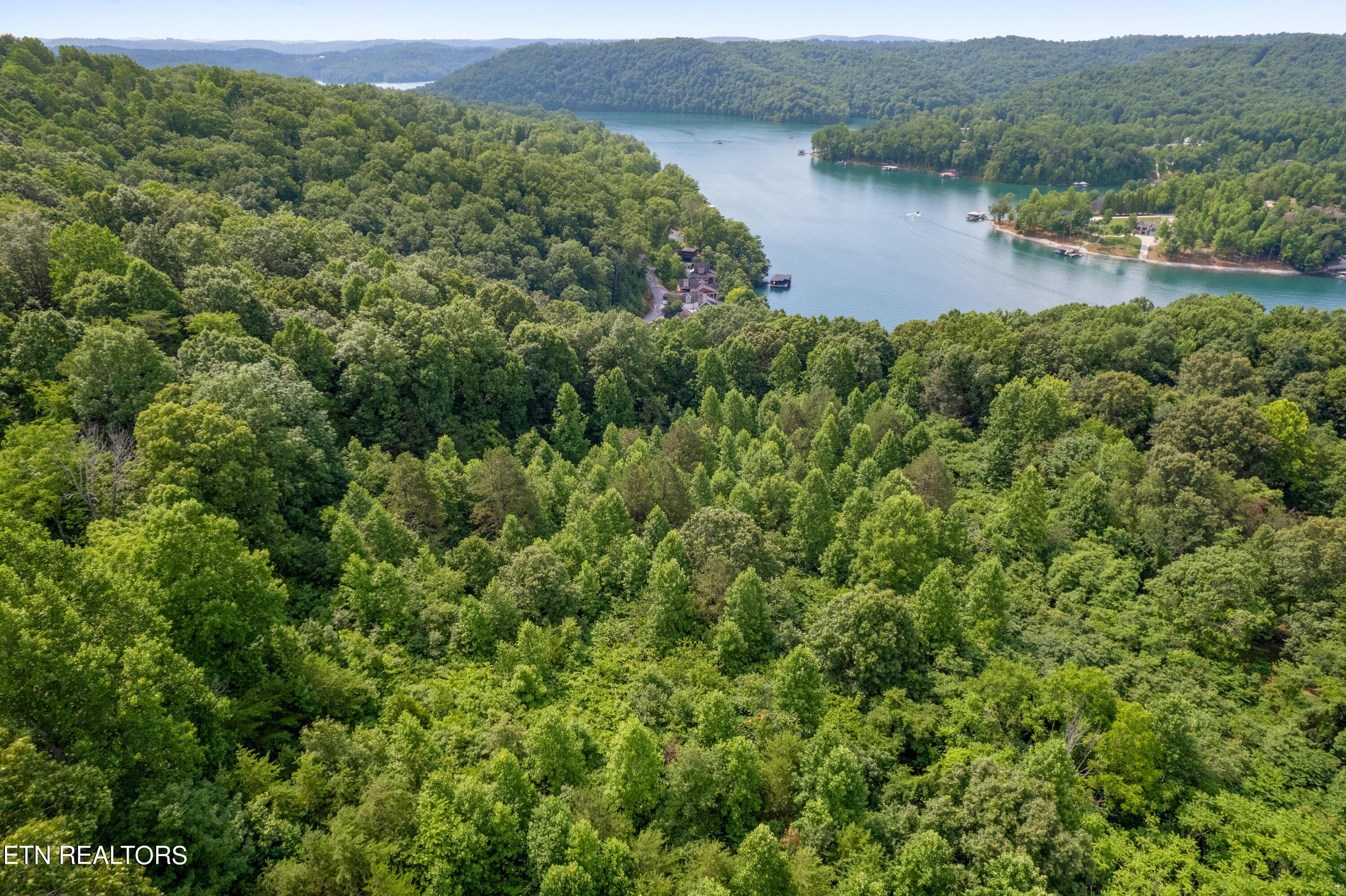 Norris Lake Real Estate - Image# 9