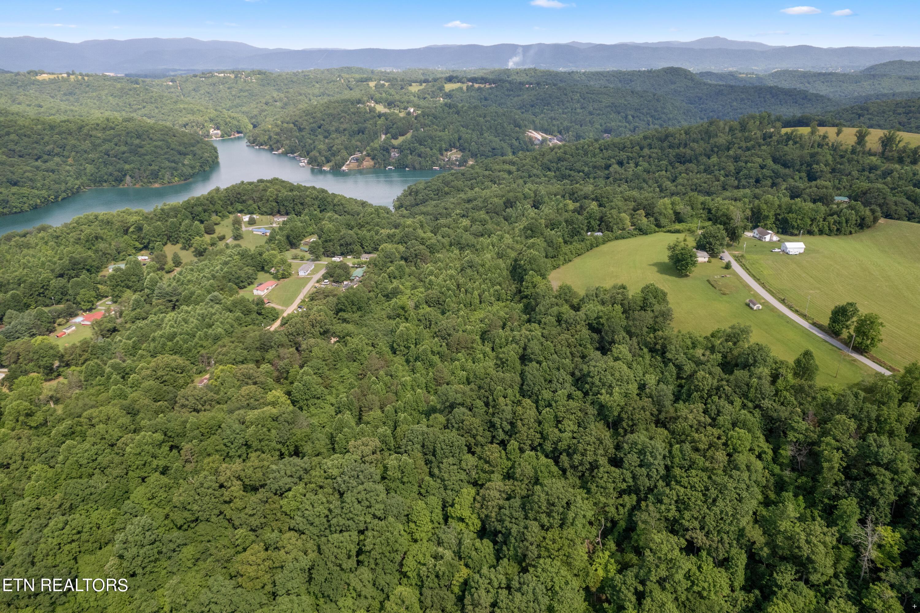 Norris Lake Real Estate - Image# 11