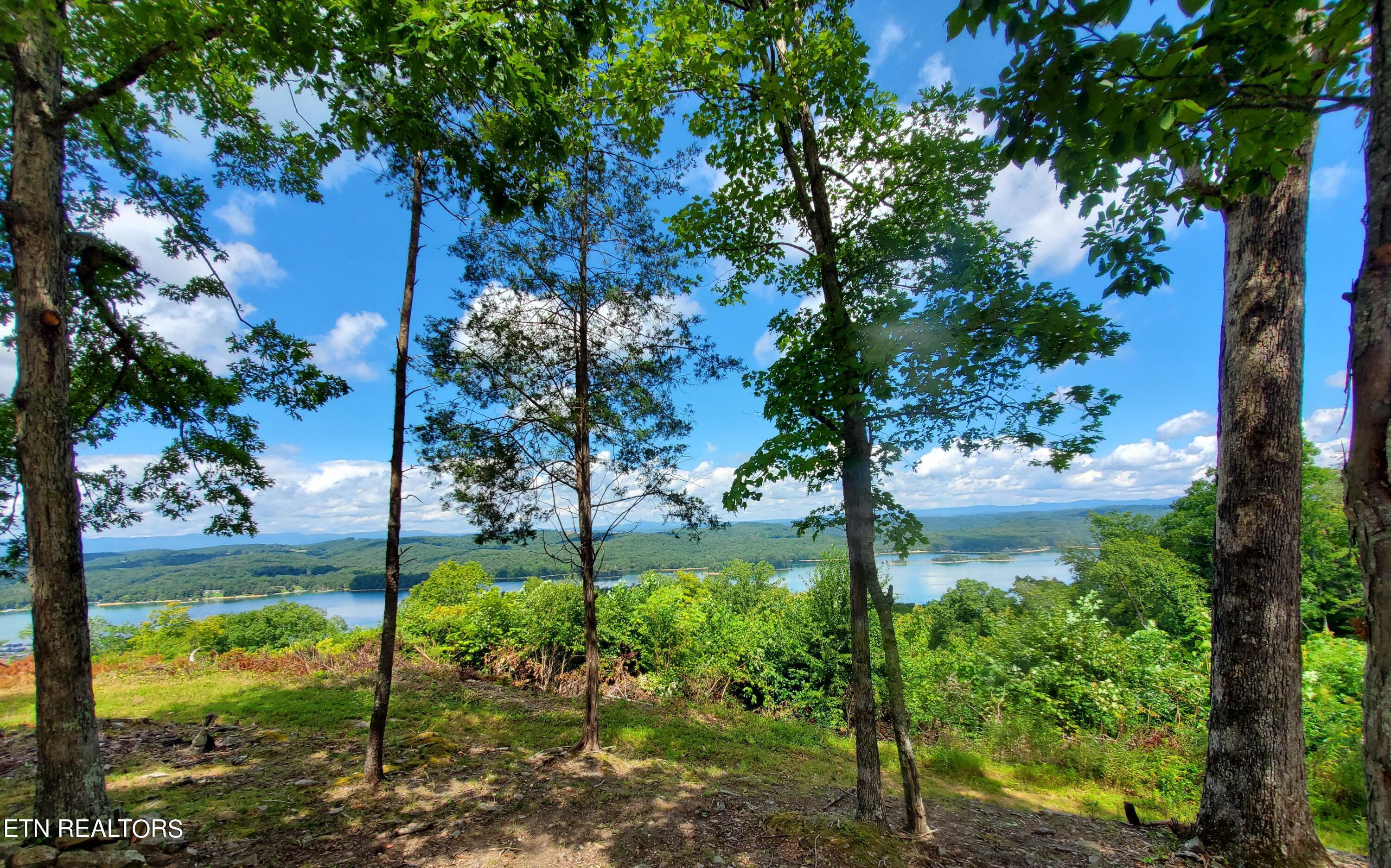 Norris Lake Real Estate - Image# 66