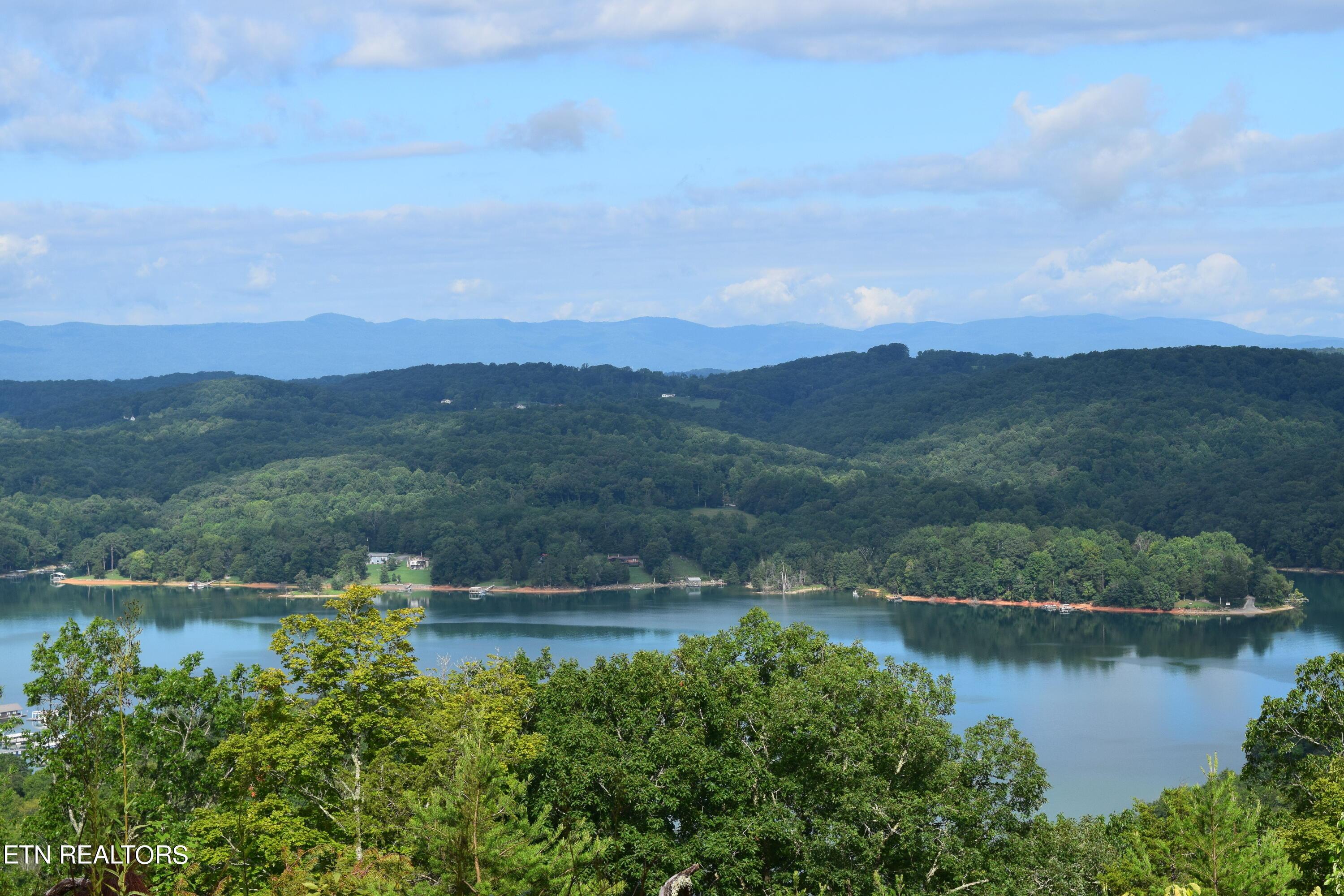 Norris Lake Real Estate - Image# 51