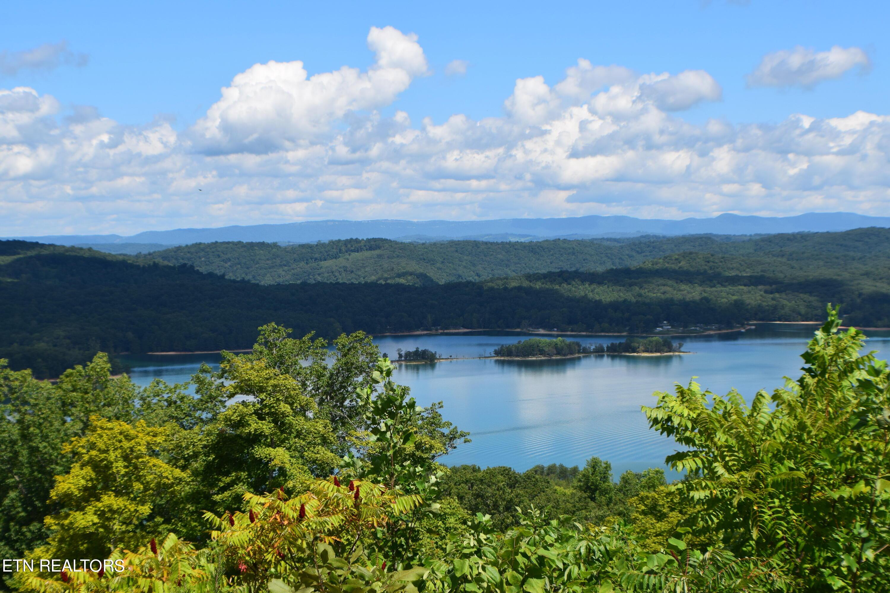 Norris Lake Real Estate - Image# 59