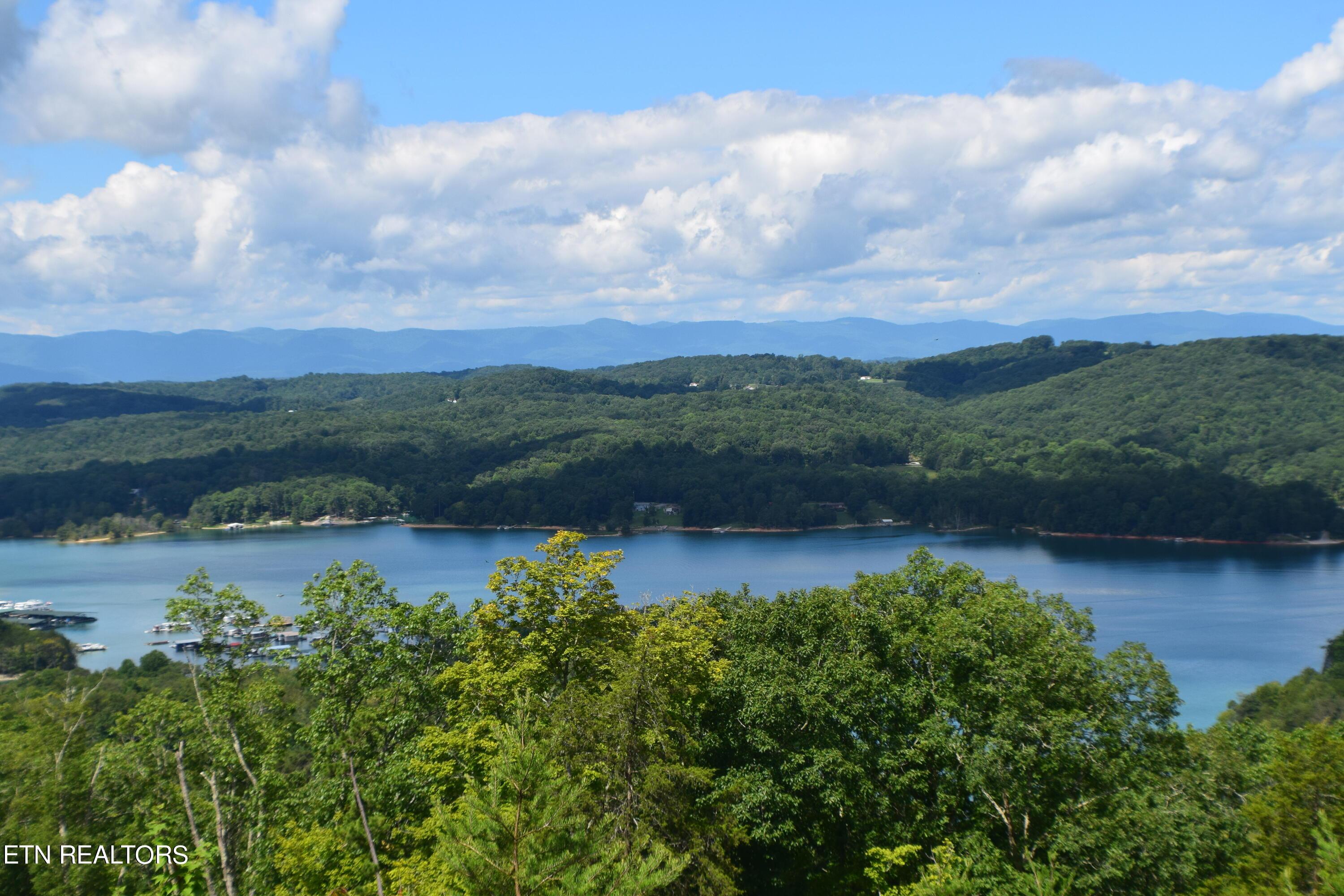 Norris Lake Real Estate - Image# 63