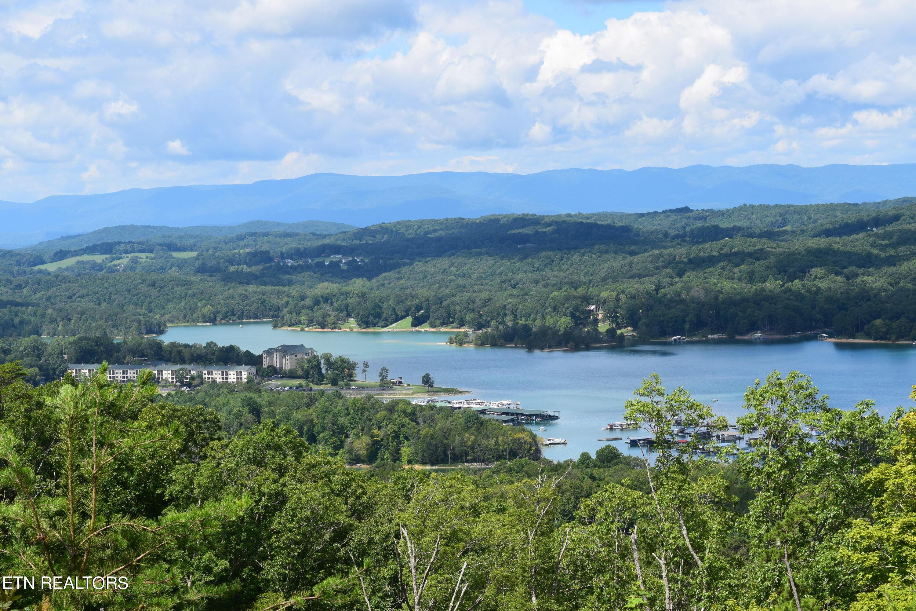 Norris Lake Real Estate - Image# 6