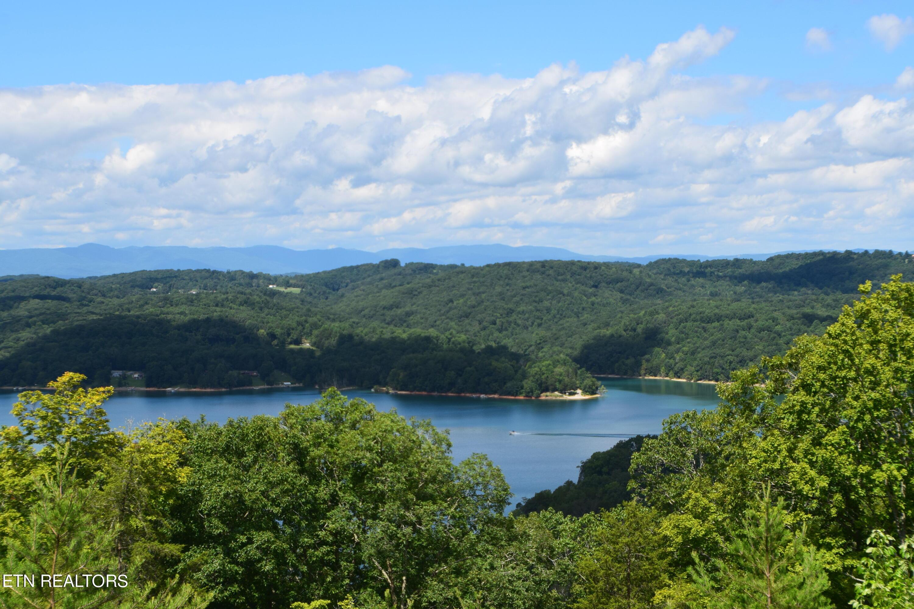 Norris Lake Real Estate - Image# 61