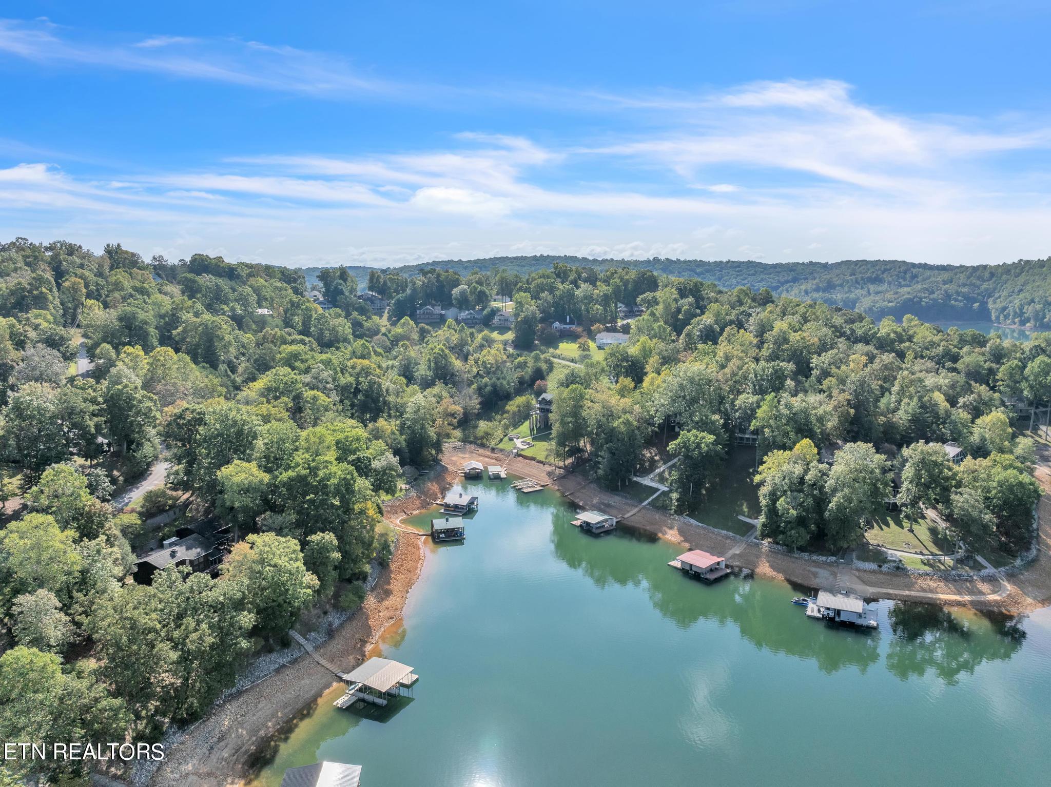 Norris Lake Real Estate - Image# 4