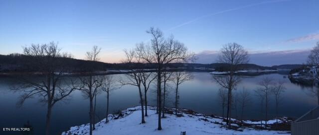 Norris Lake Real Estate - Image# 59