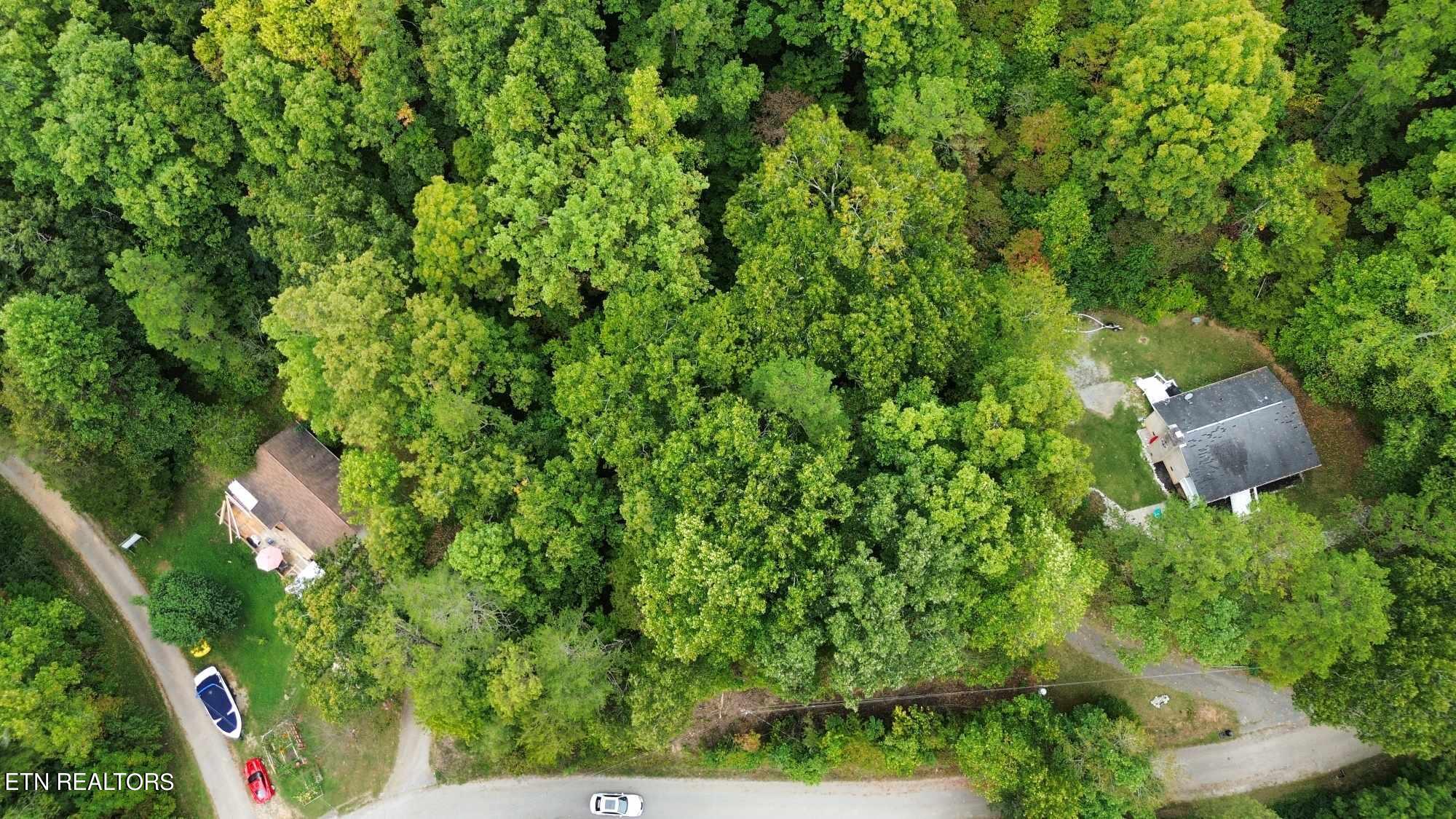 Norris Lake Real Estate - Image# 3