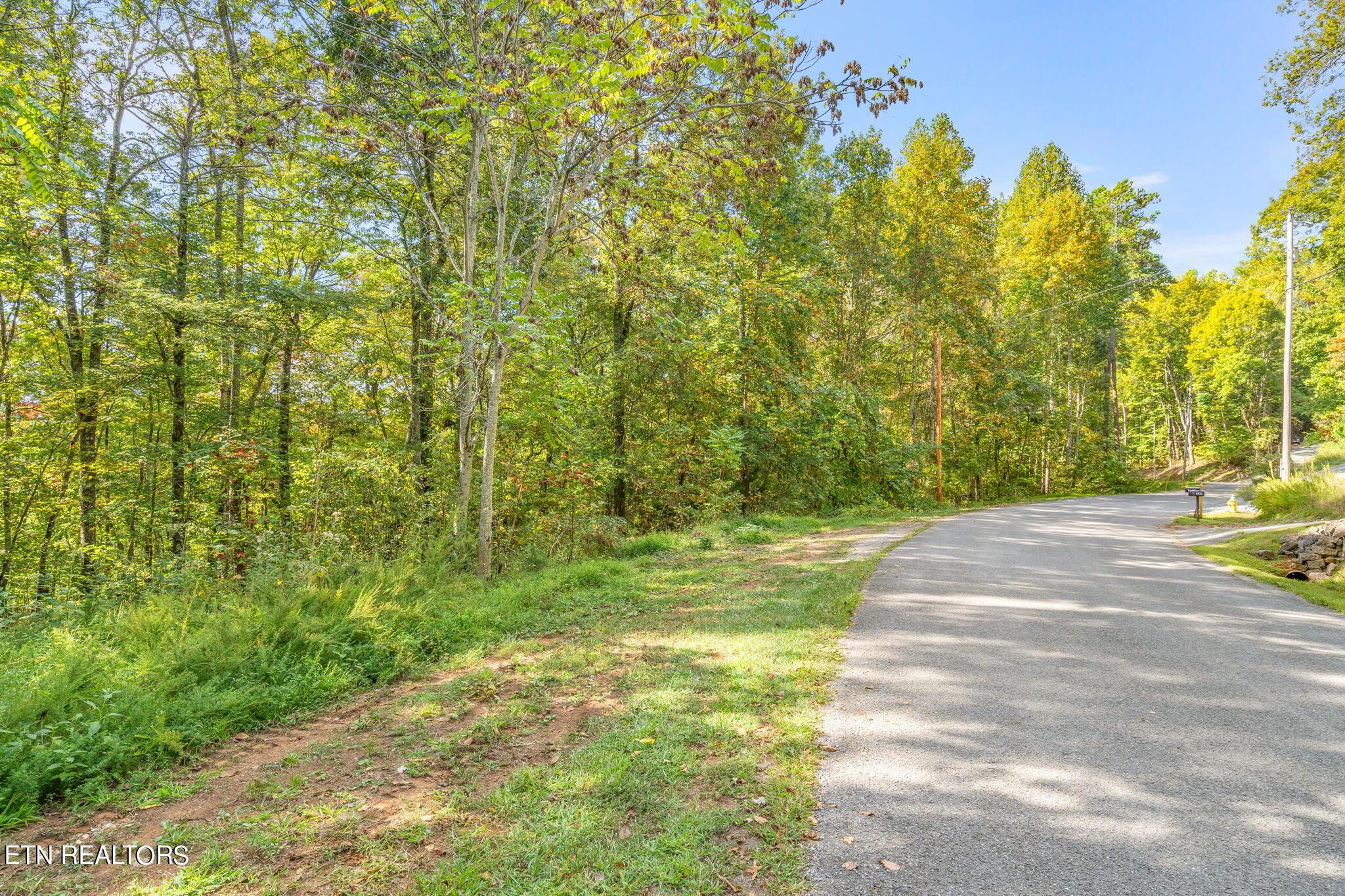 Norris Lake Real Estate - Image# 18