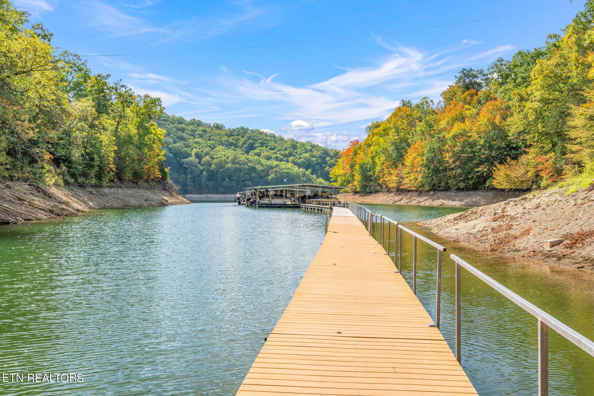 Norris Lake Real Estate - Image# 2