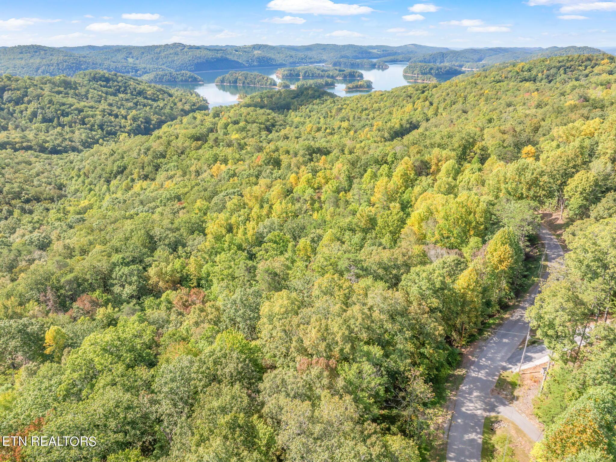 Norris Lake Real Estate - Image# 8