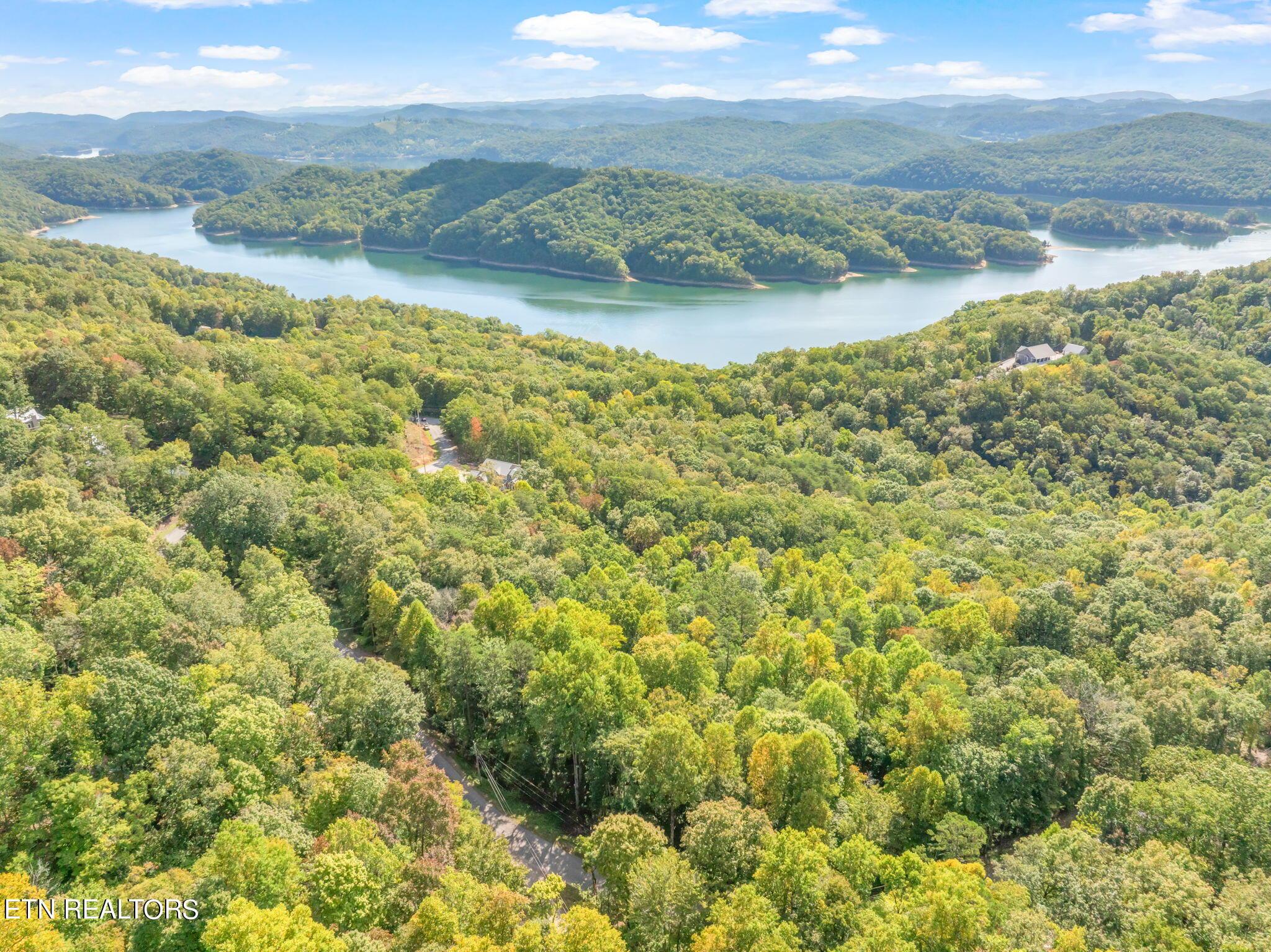 Norris Lake Real Estate - Image# 6