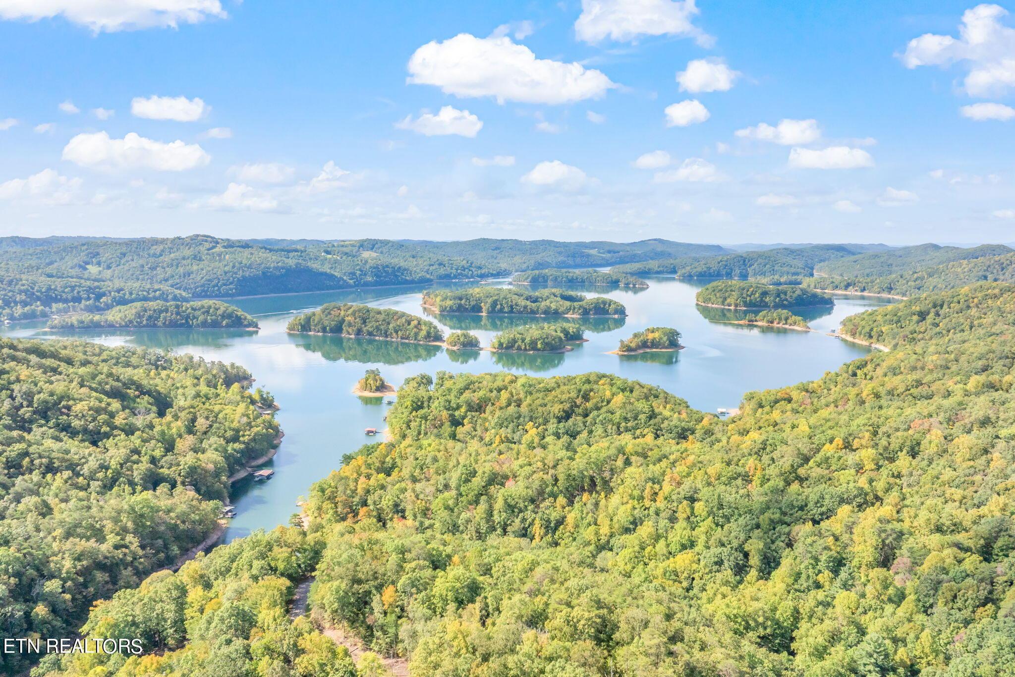 Norris Lake Real Estate - Image# 5