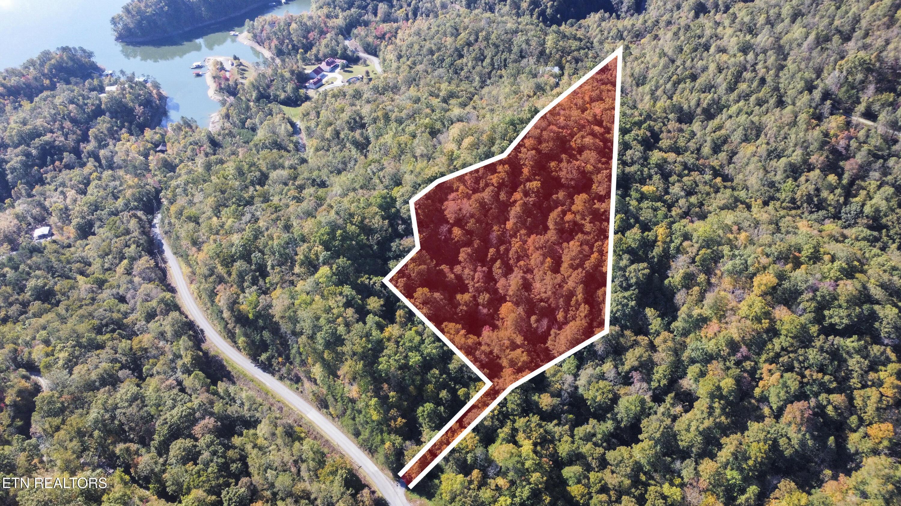 Norris Lake Real Estate - Image# 4