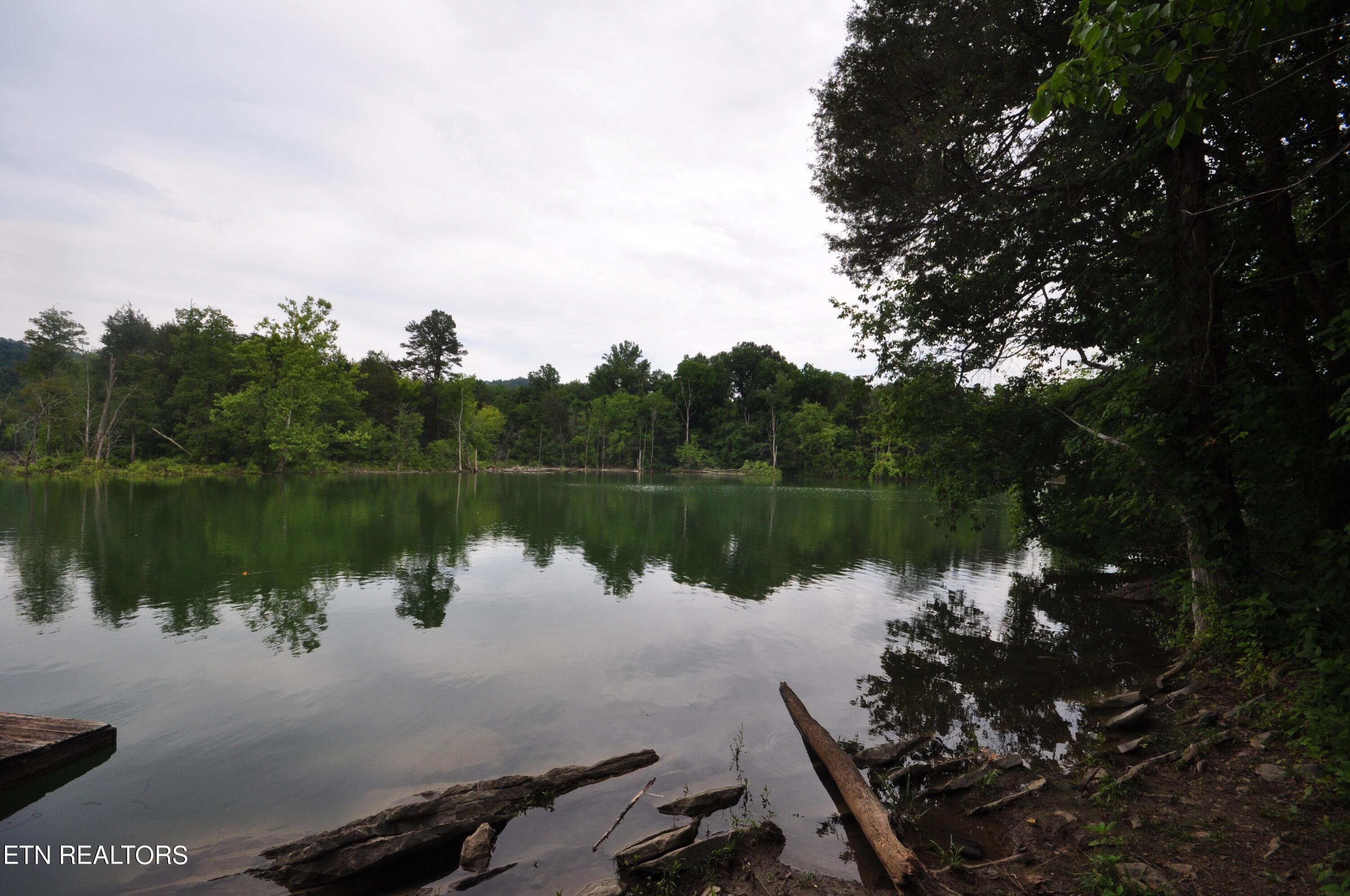 Norris Lake Real Estate - Image# 7