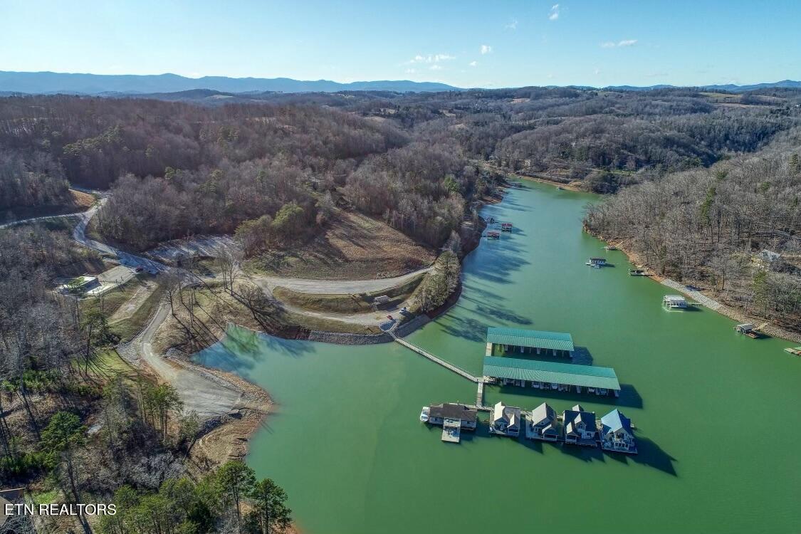 Norris Lake Real Estate - Image# 8