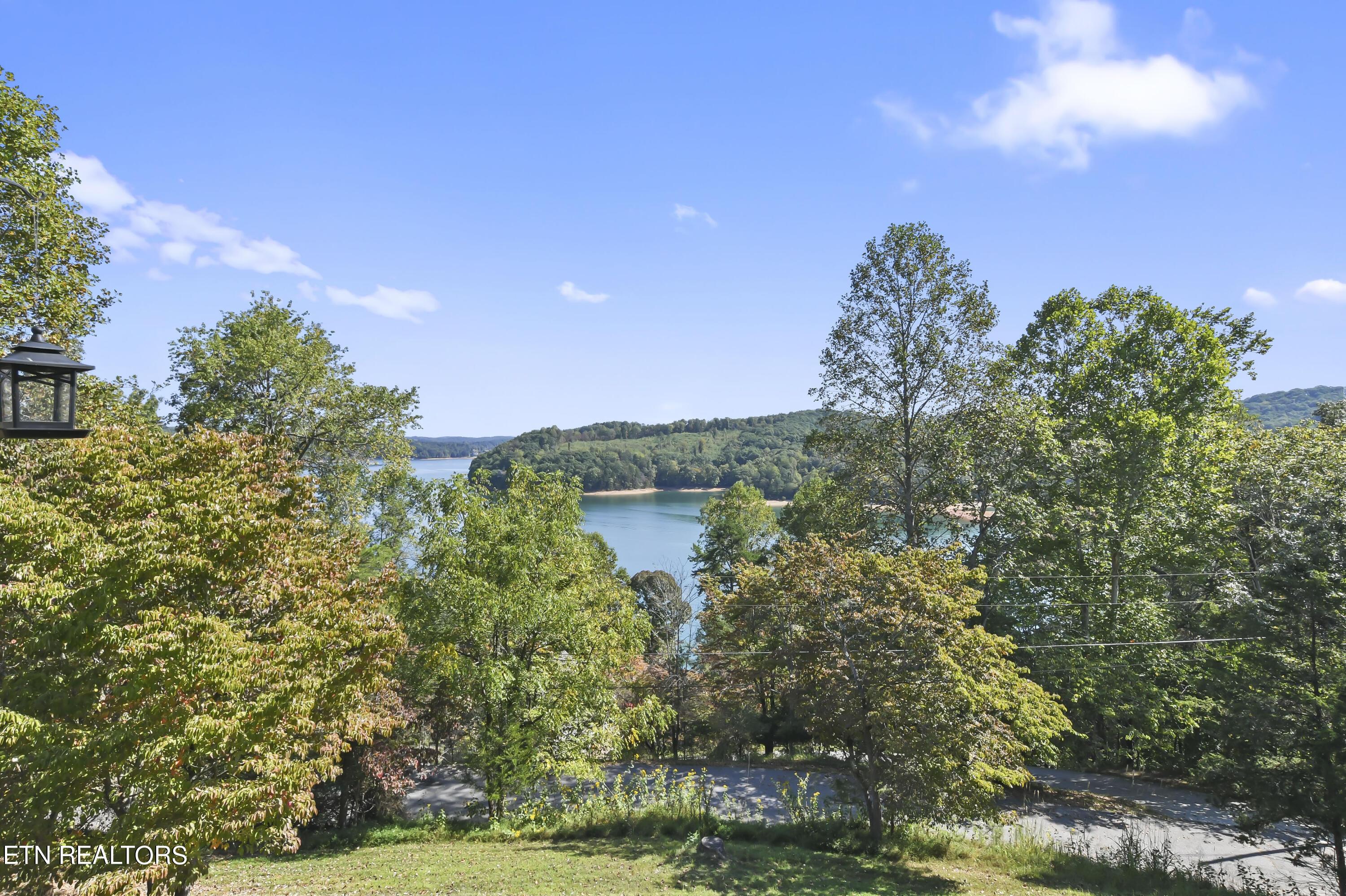 Norris Lake Real Estate - Image# 101