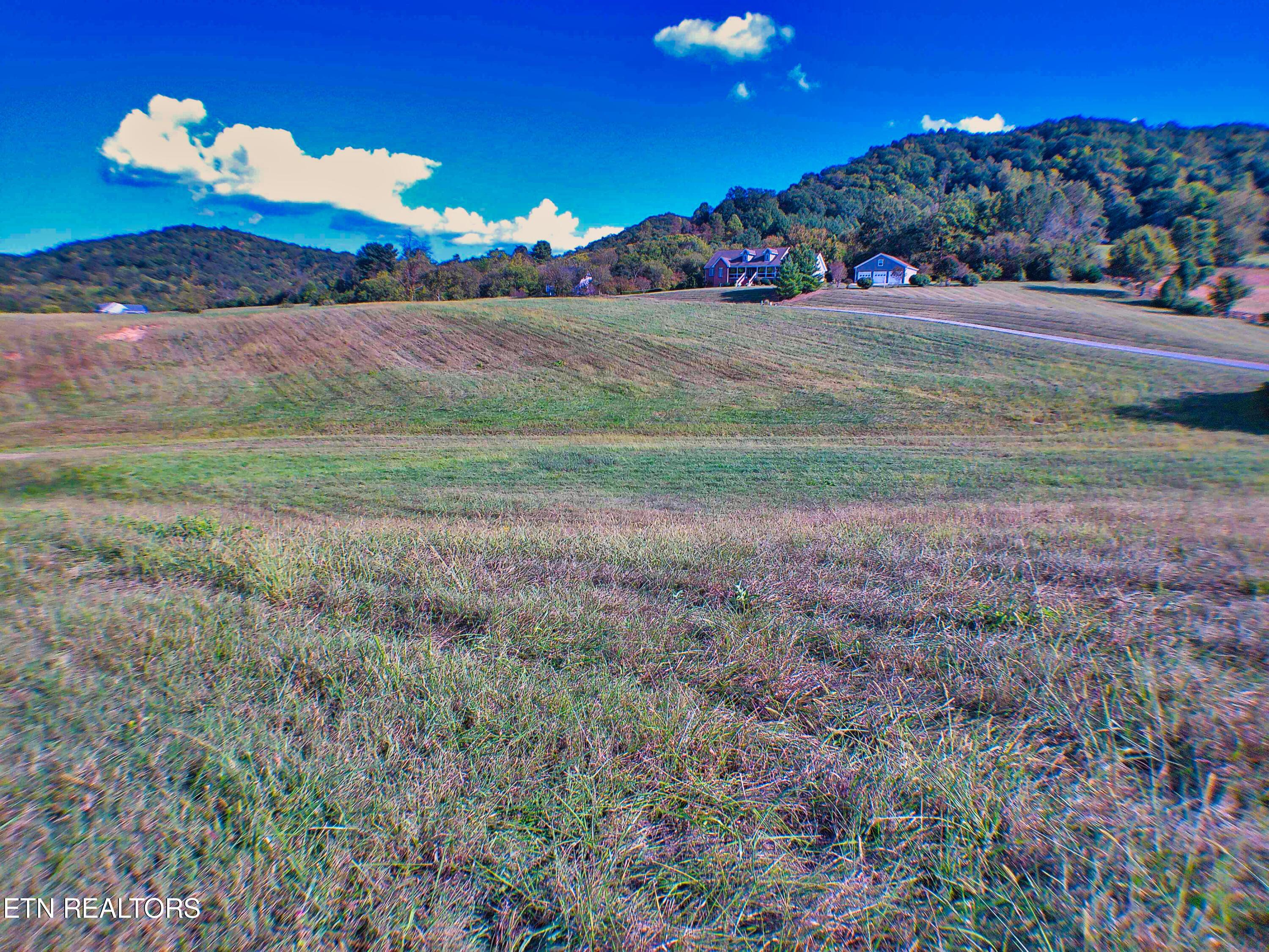 Norris Lake Real Estate - Image# 3