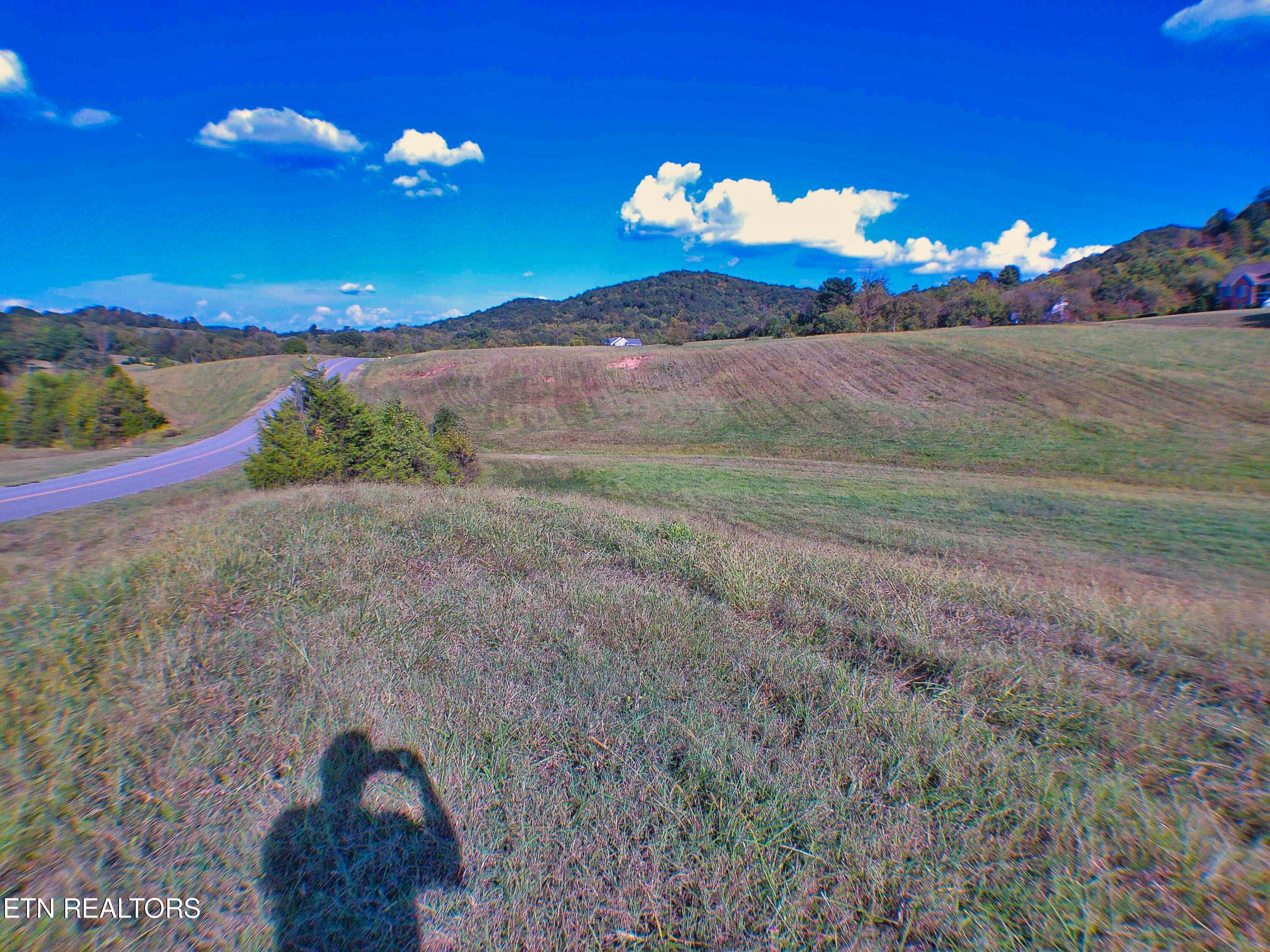 Norris Lake Real Estate - Image# 44