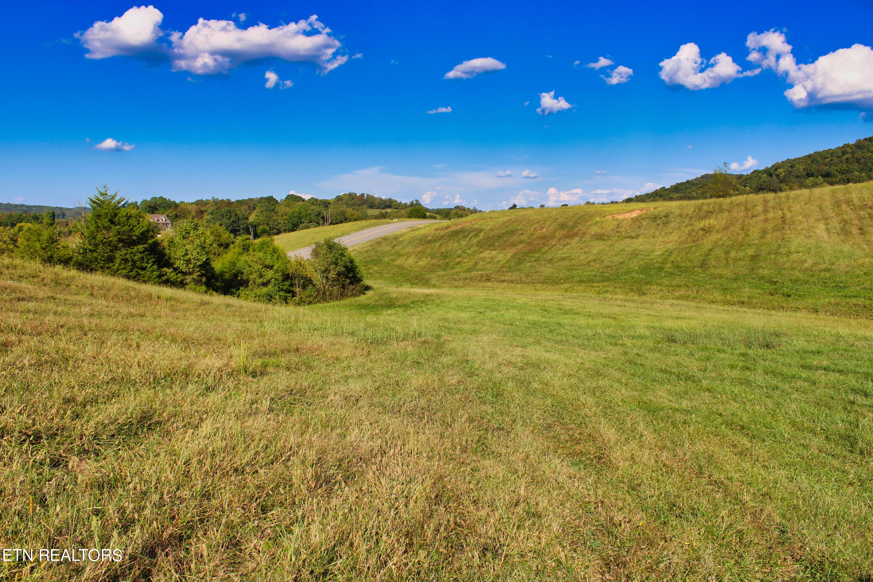 Norris Lake Real Estate - Image# 49