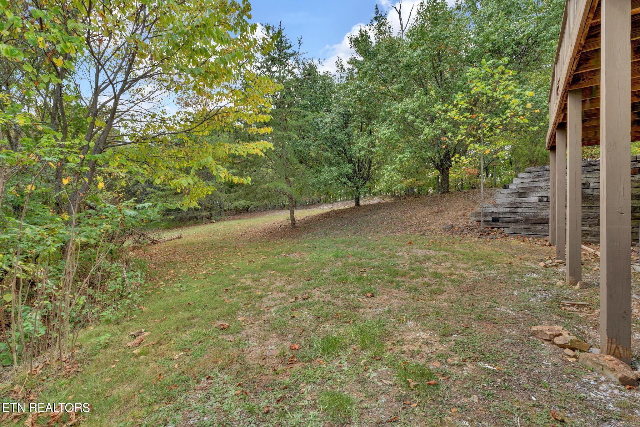 Norris Lake Real Estate - Image# 29